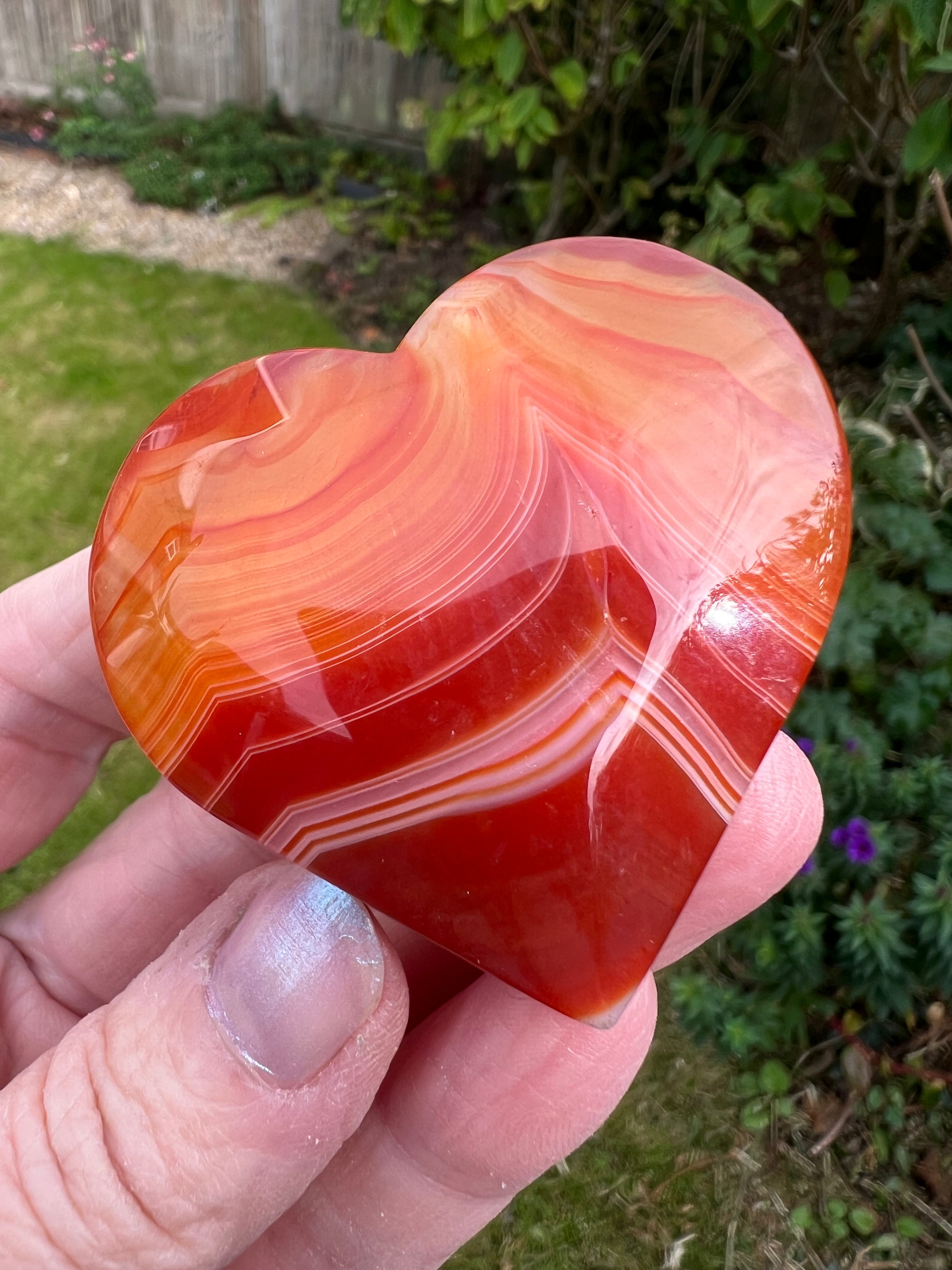 Carnelian Heart - CR1