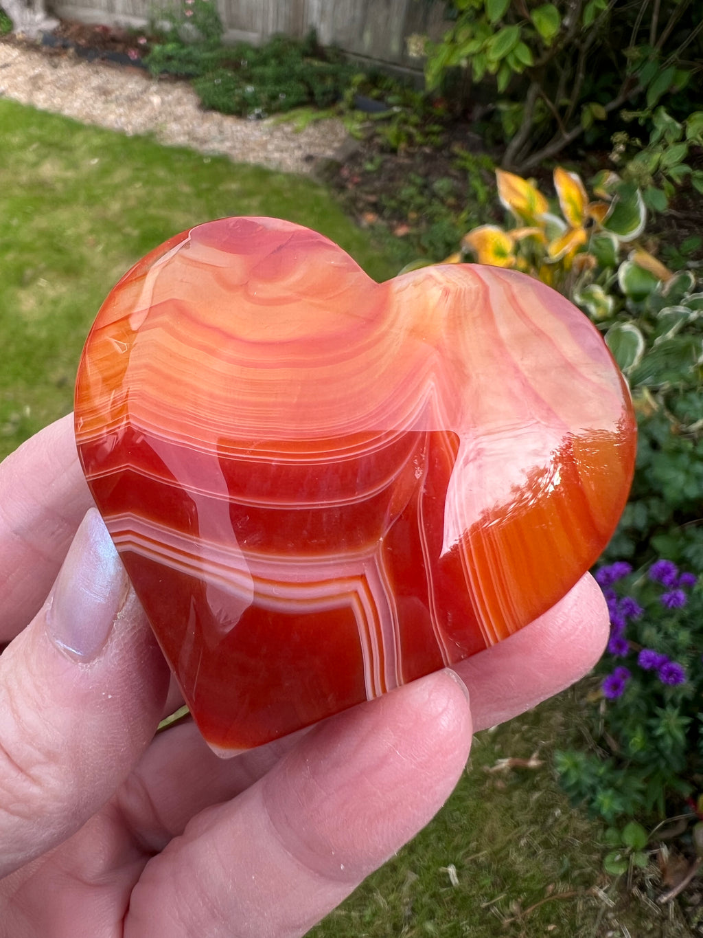 Carnelian Heart - CR1