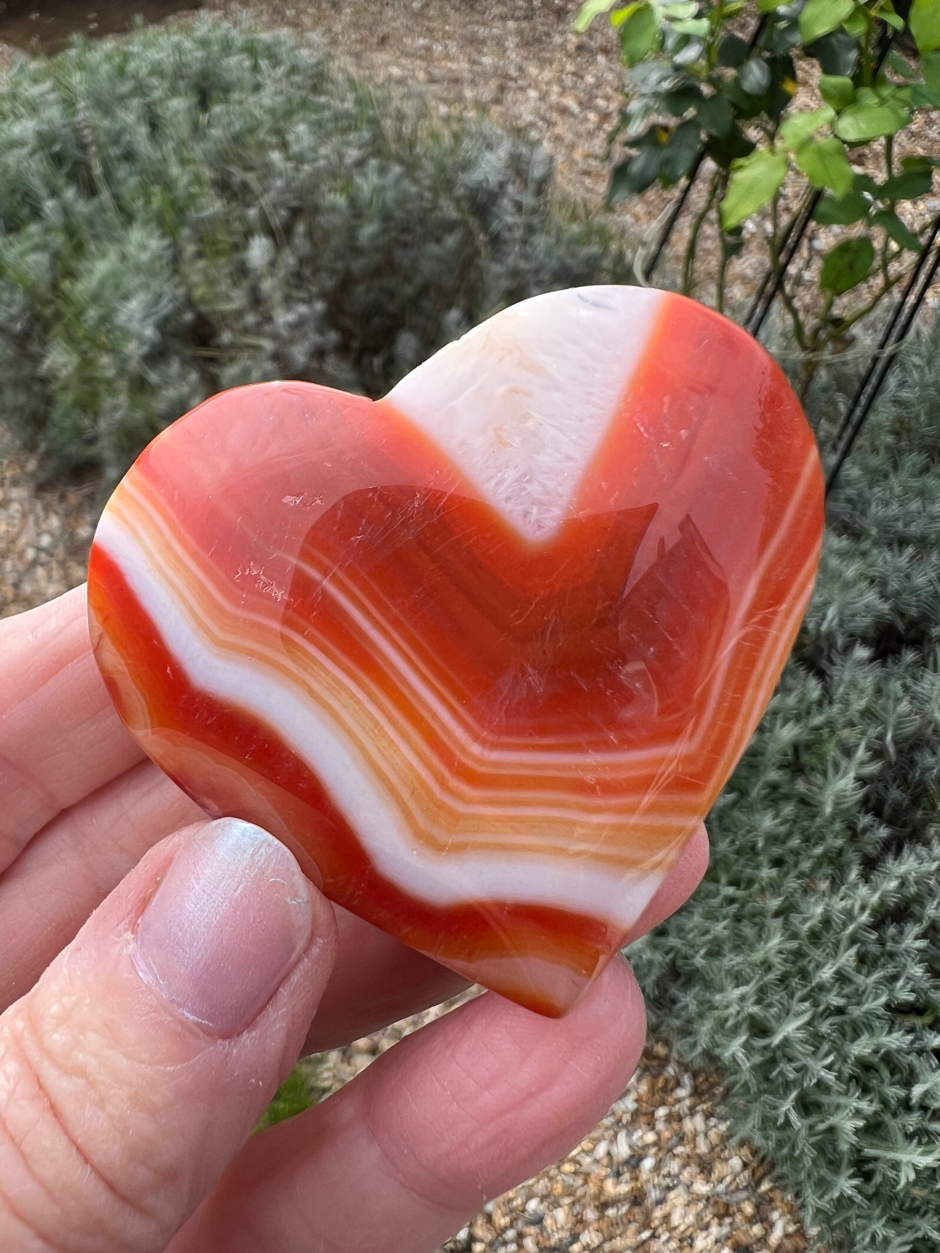 Carnelian Heart - CR2