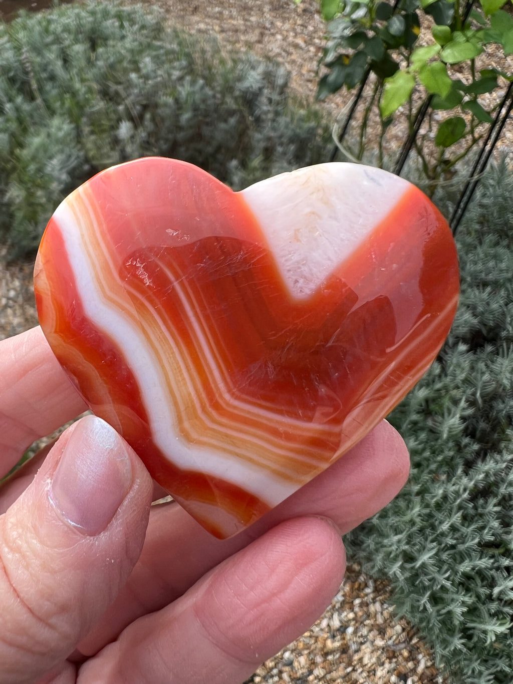 Carnelian Heart - CR2