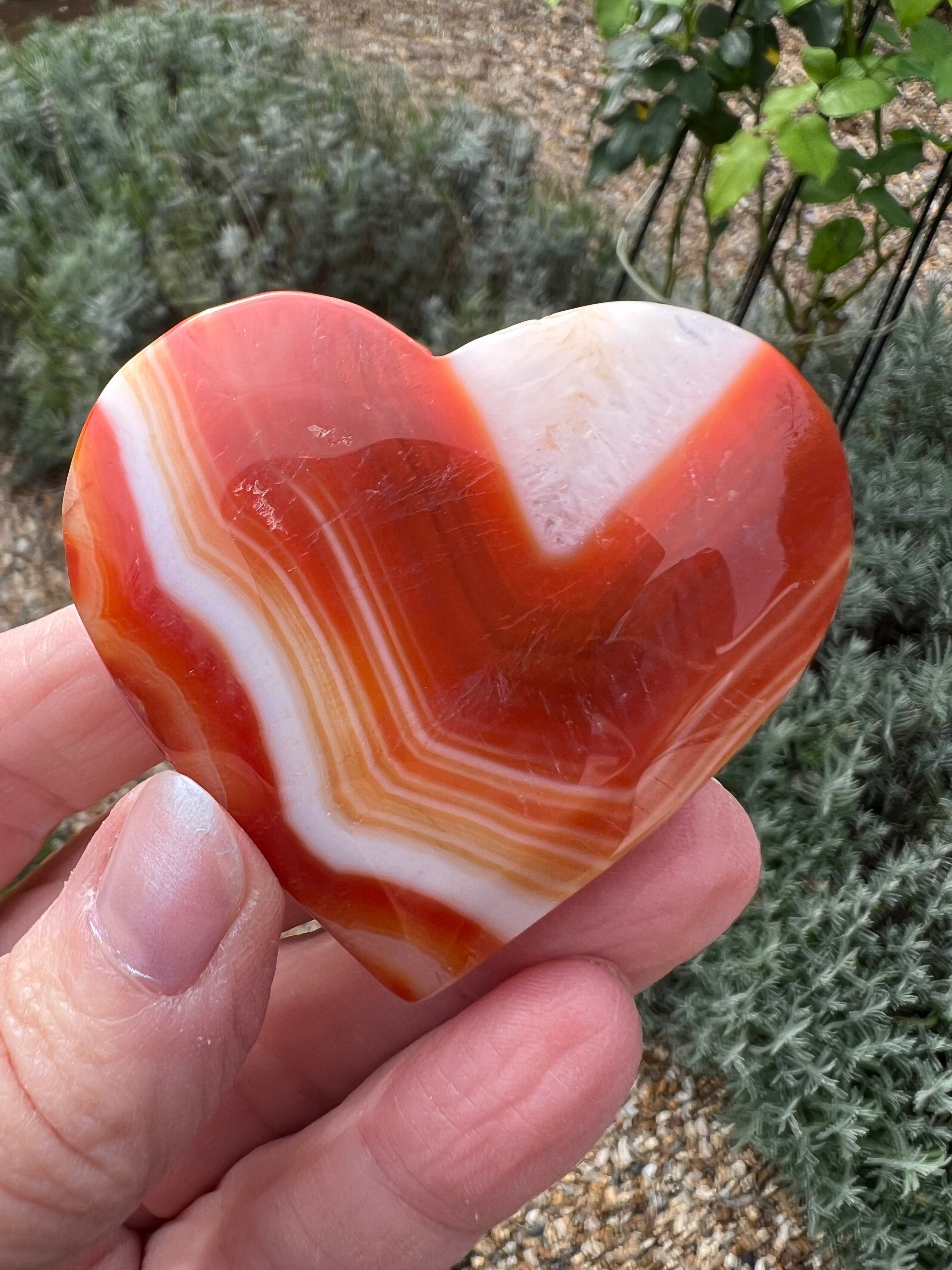 Carnelian Heart - CR2