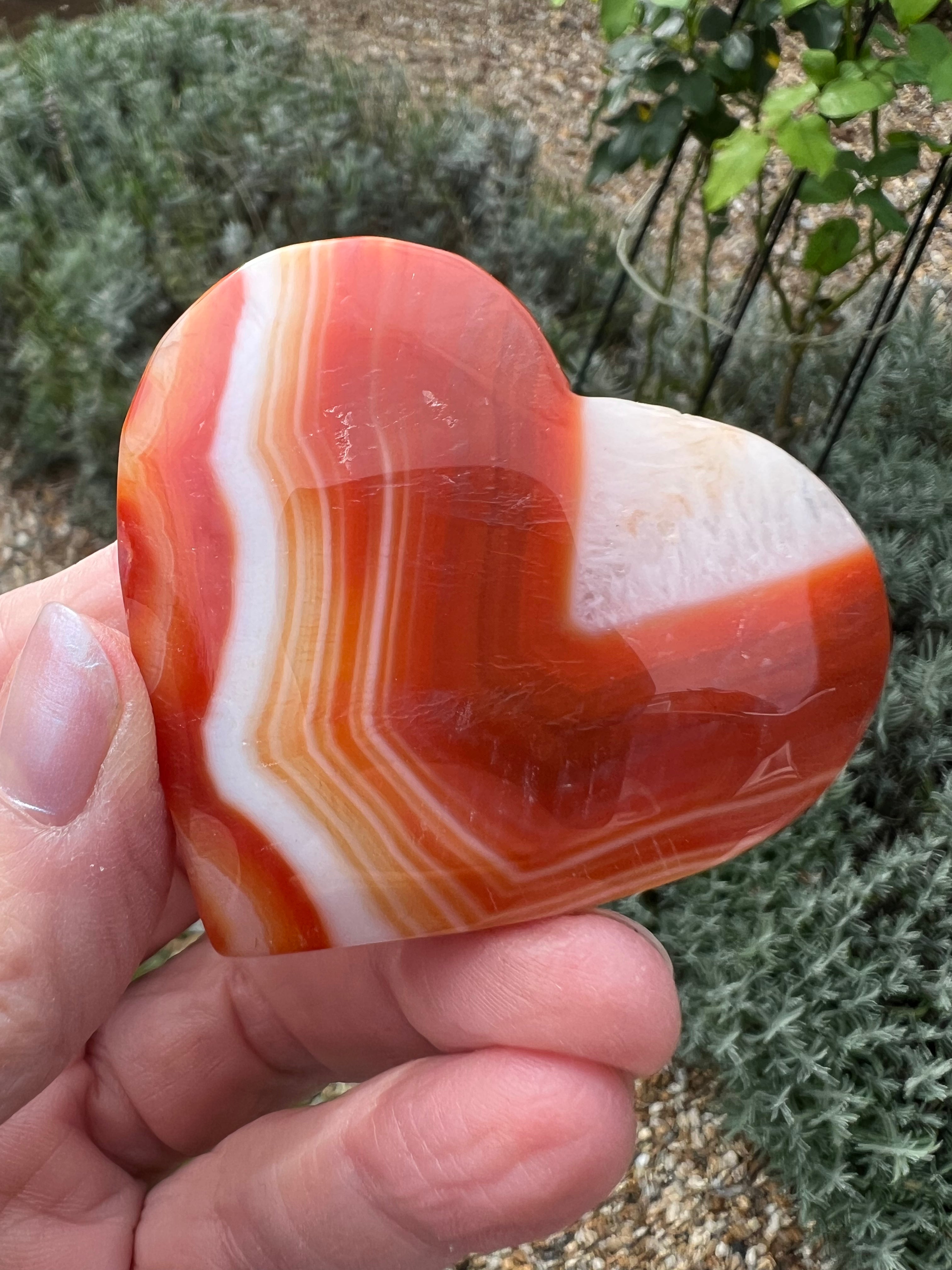 Carnelian Heart - CR2