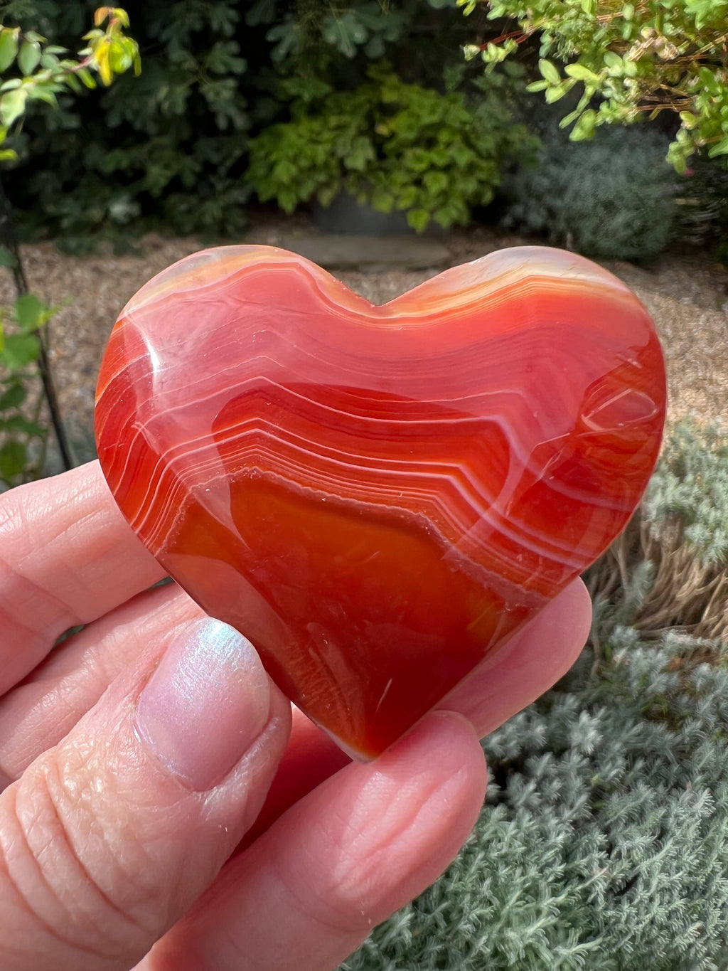 Carnelian Heart - CR3