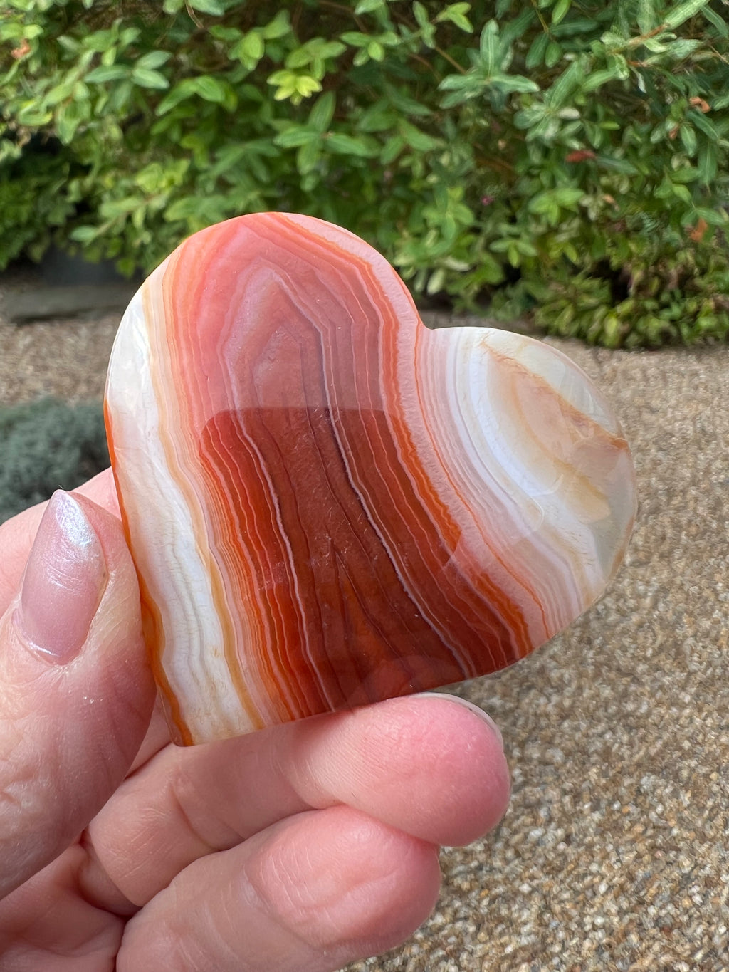Carnelian Heart - CR6