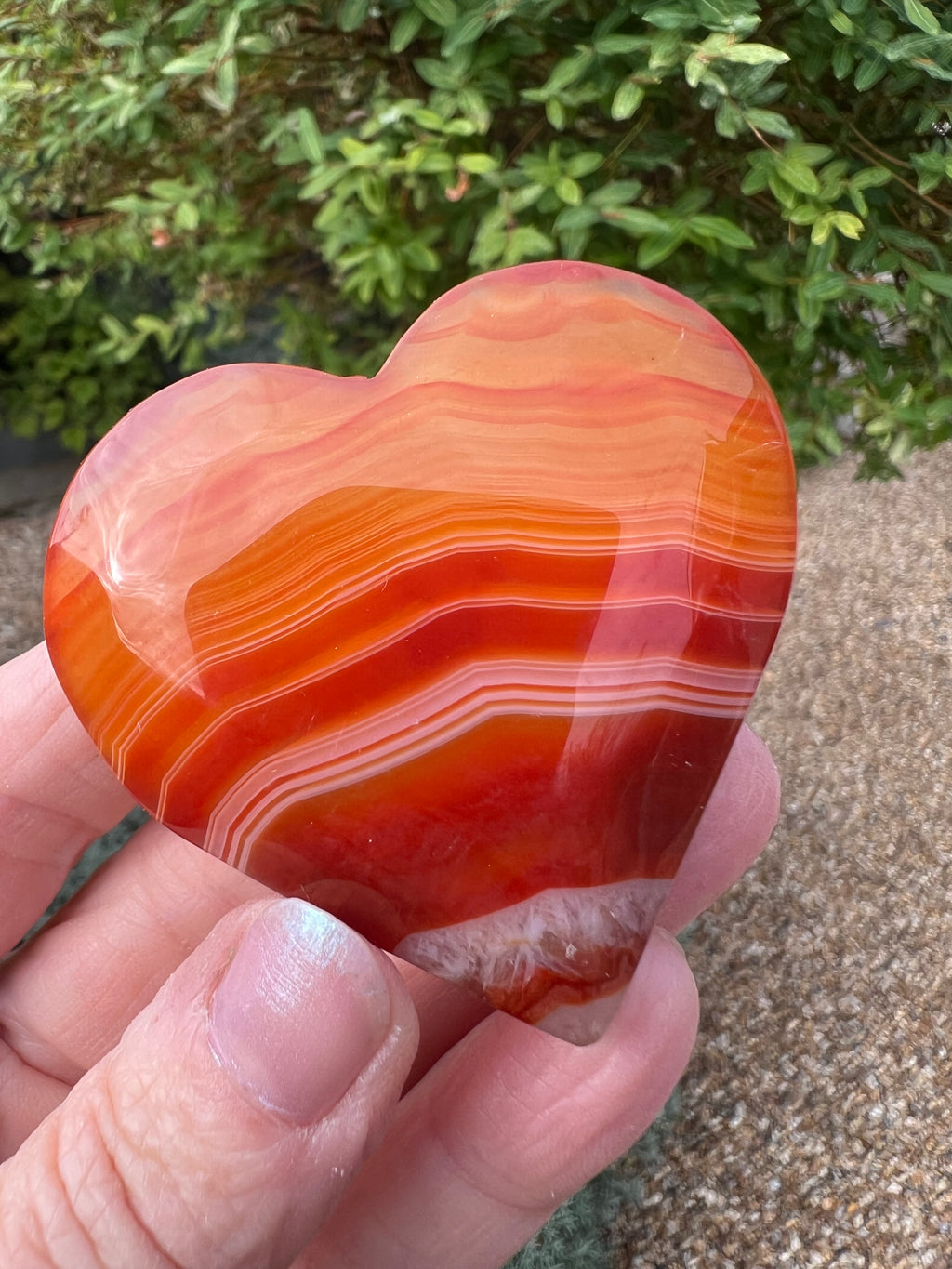 Carnelian Heart - CR7