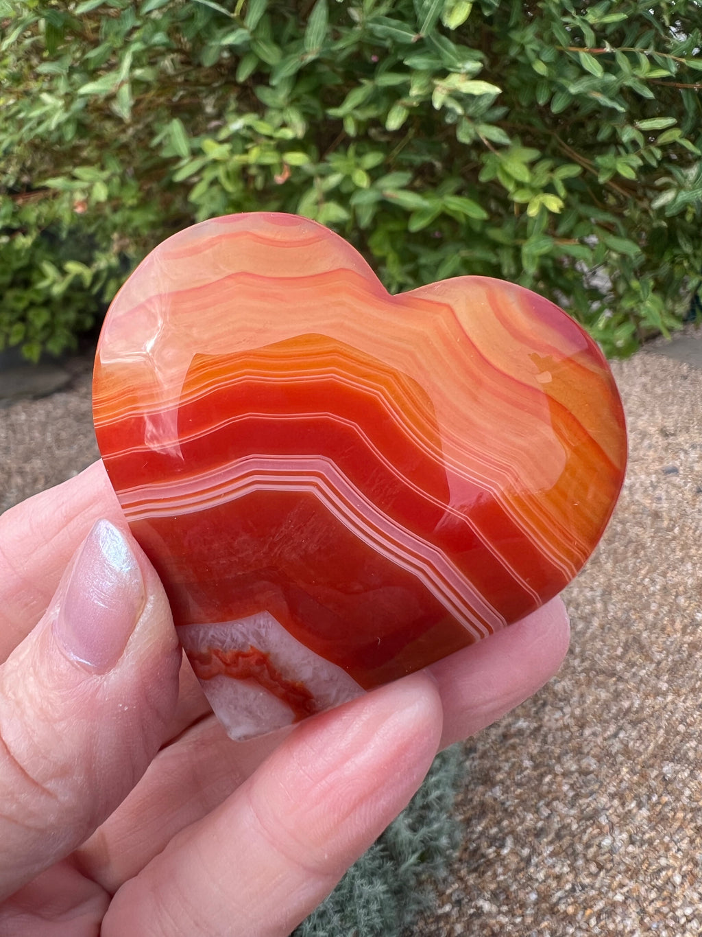 Carnelian Heart - CR7