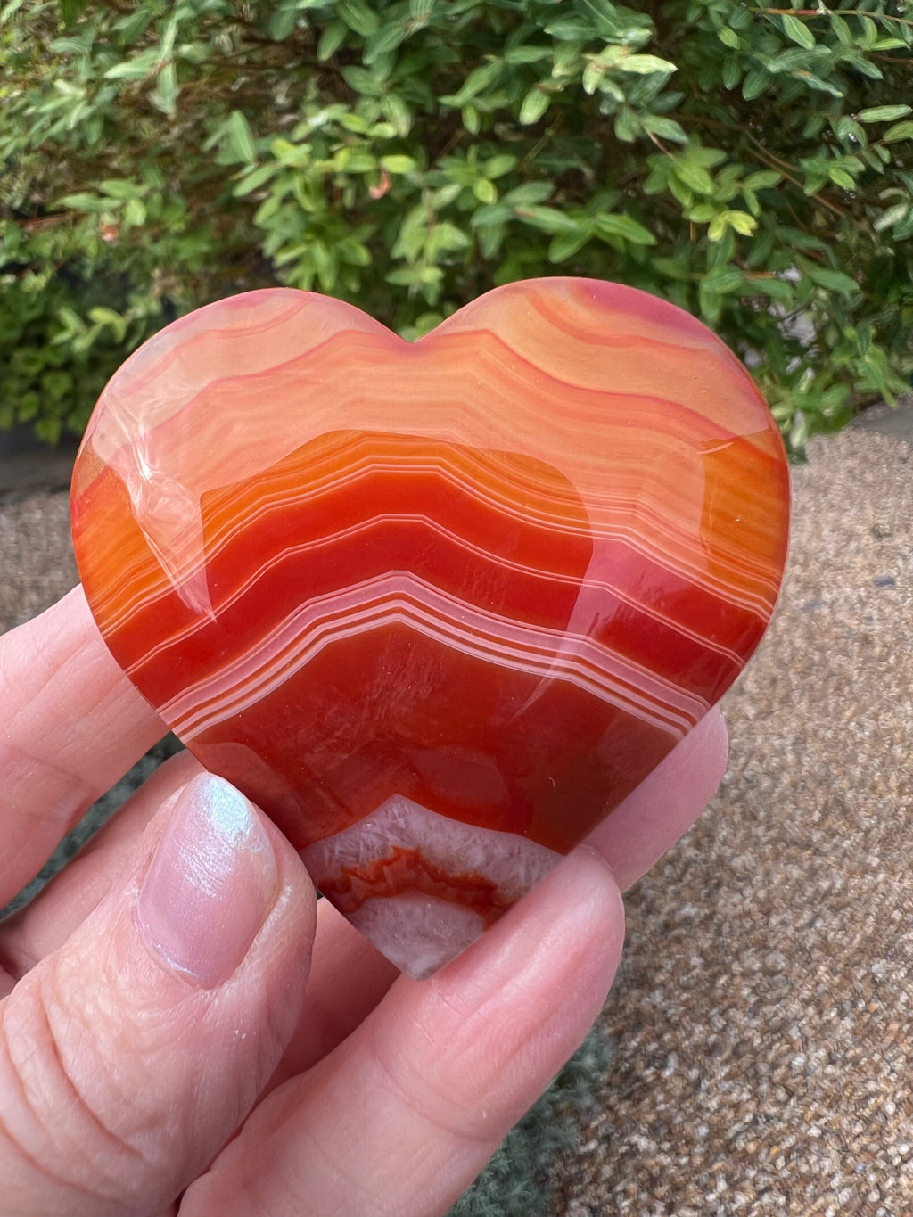 Carnelian Heart - CR7