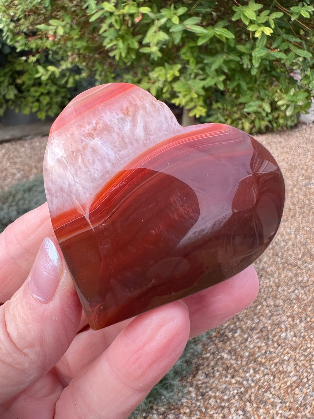 Carnelian Heart - CR8