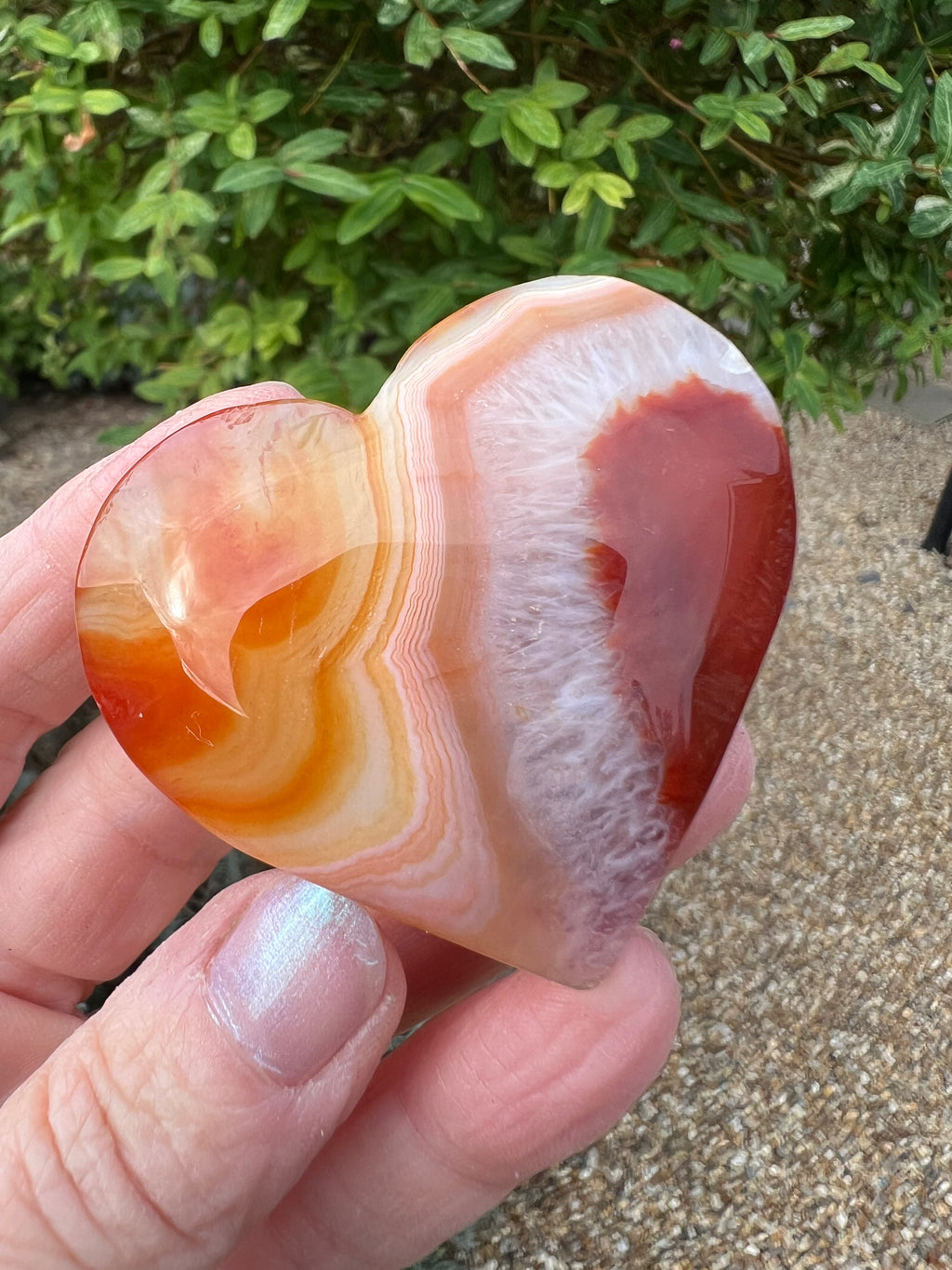 Carnelian Heart - CR9