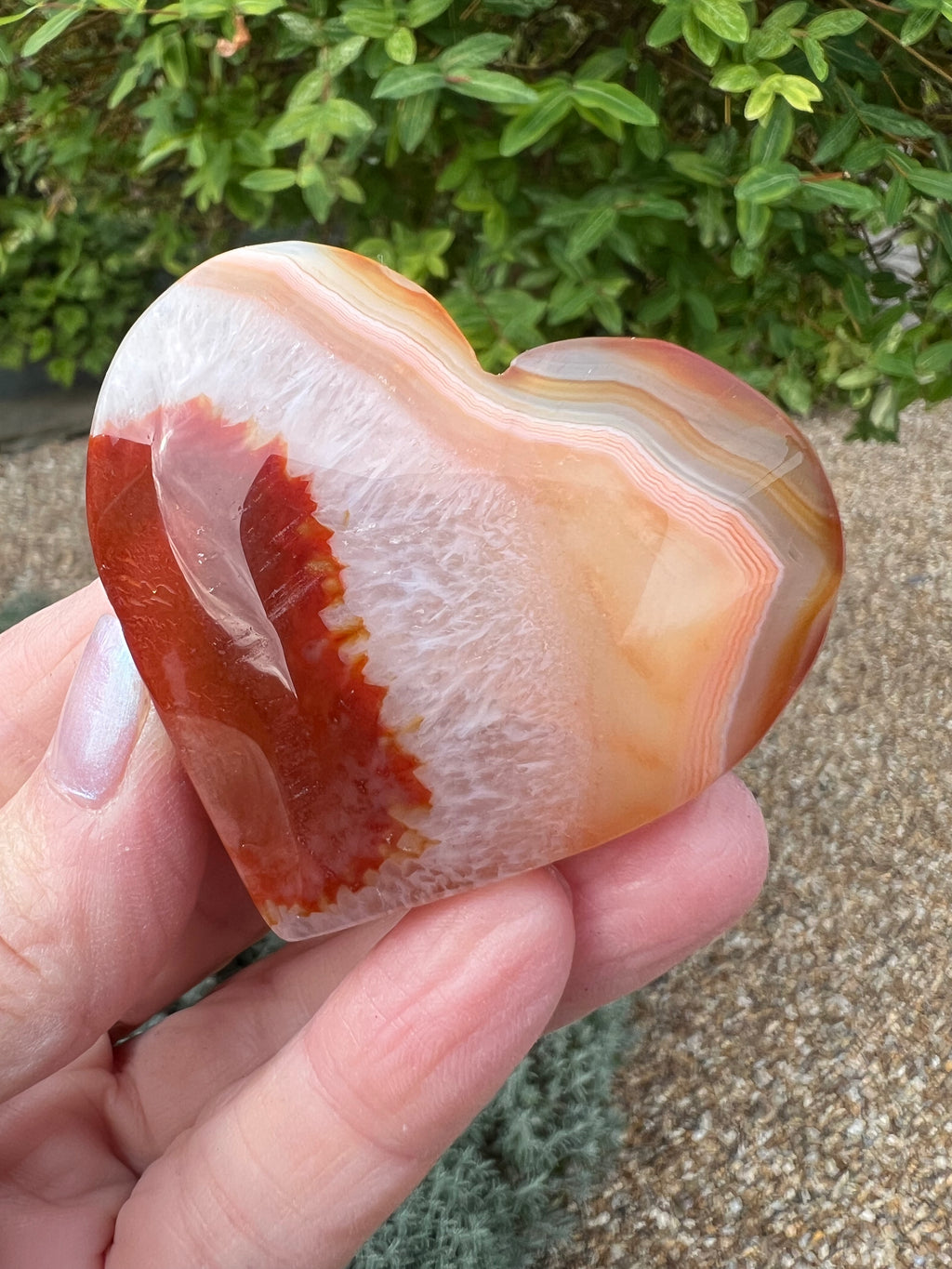 Carnelian Heart - CR9