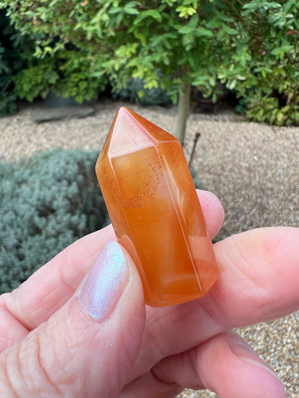 Carnelian Mini Point - CR2