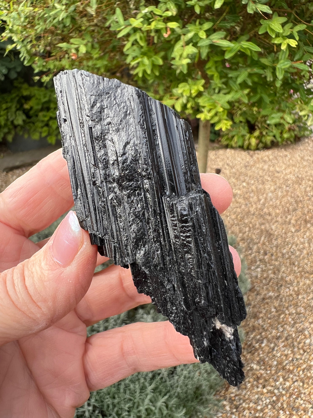 Raw Black Tourmaline - BT6