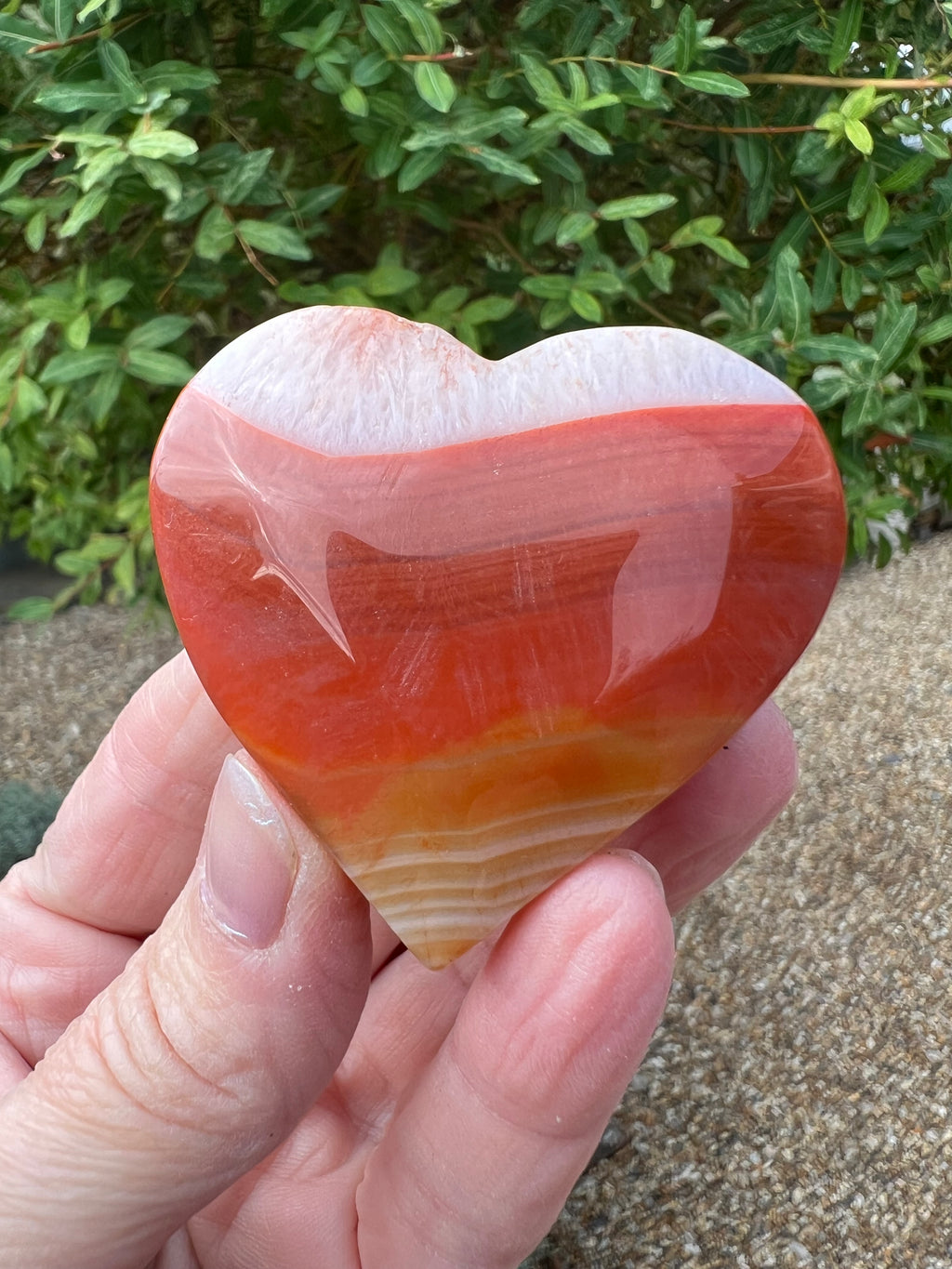 Carnelian Heart - CR11