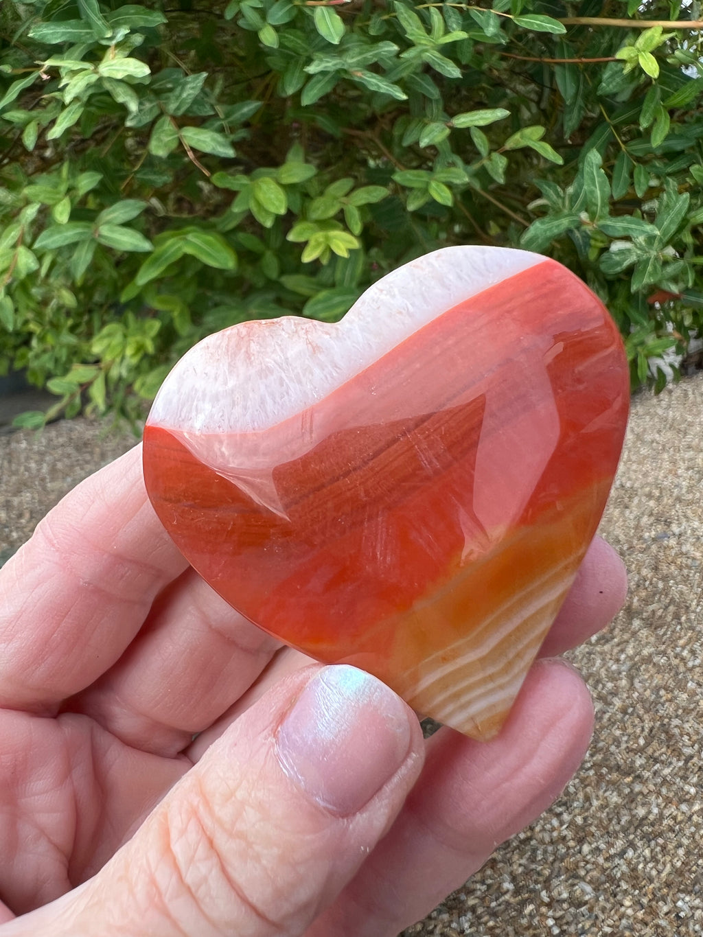 Carnelian Heart - CR11