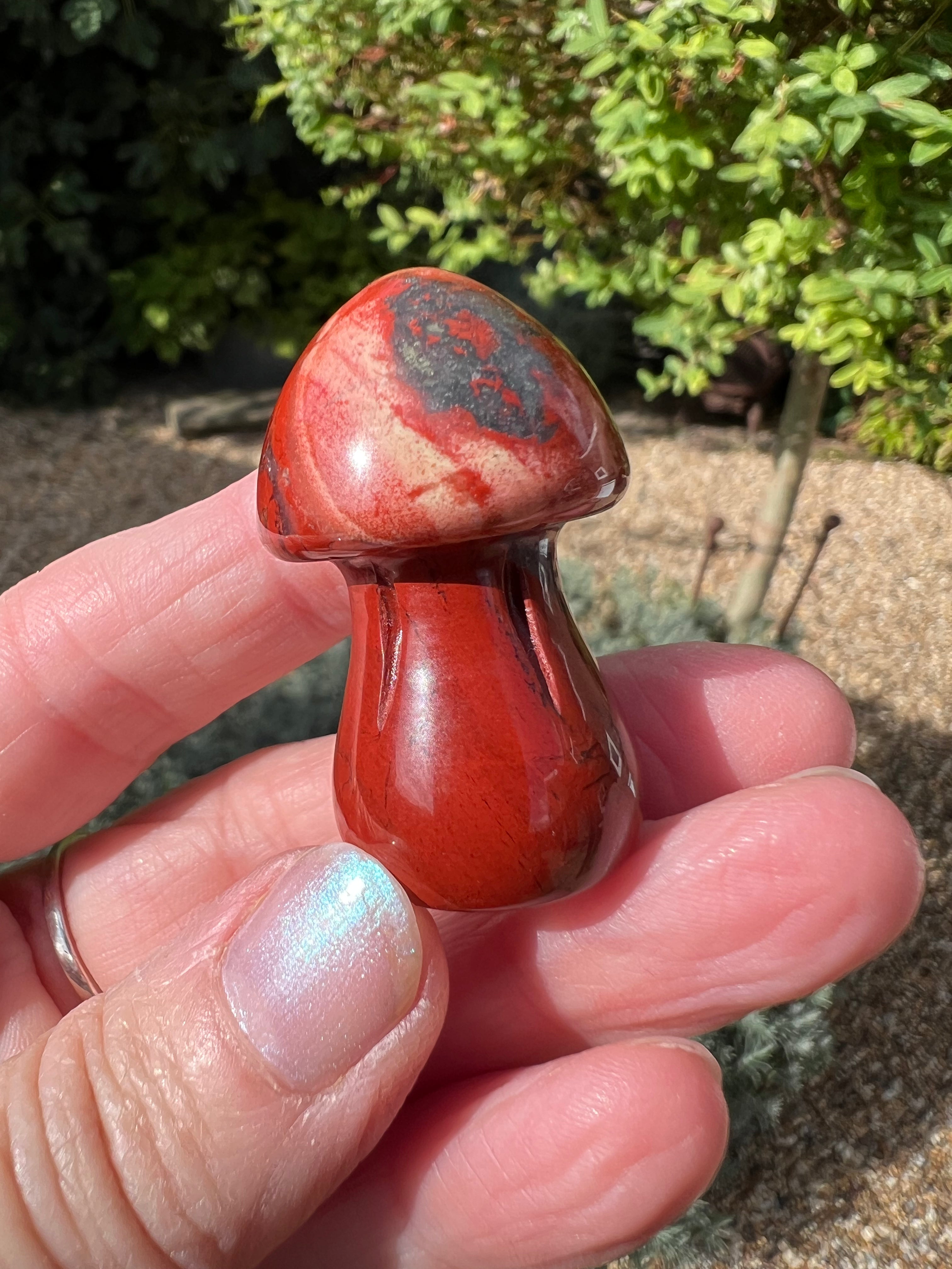 Red Jasper Mushroom - RJ1