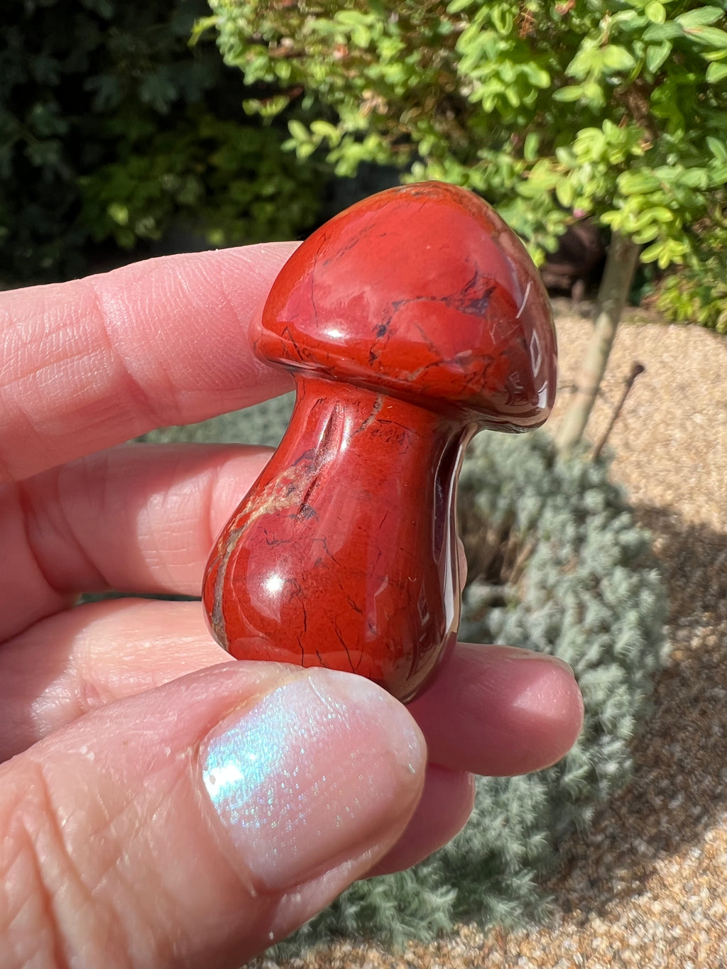 Red Jasper Mushroom - RJ1