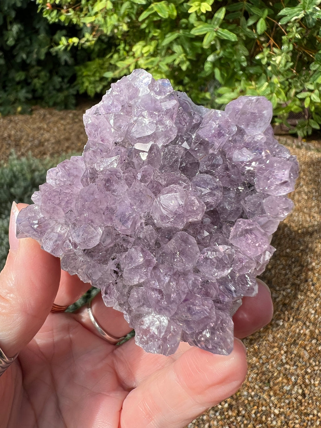 Amethyst Crystal Druze - AM24