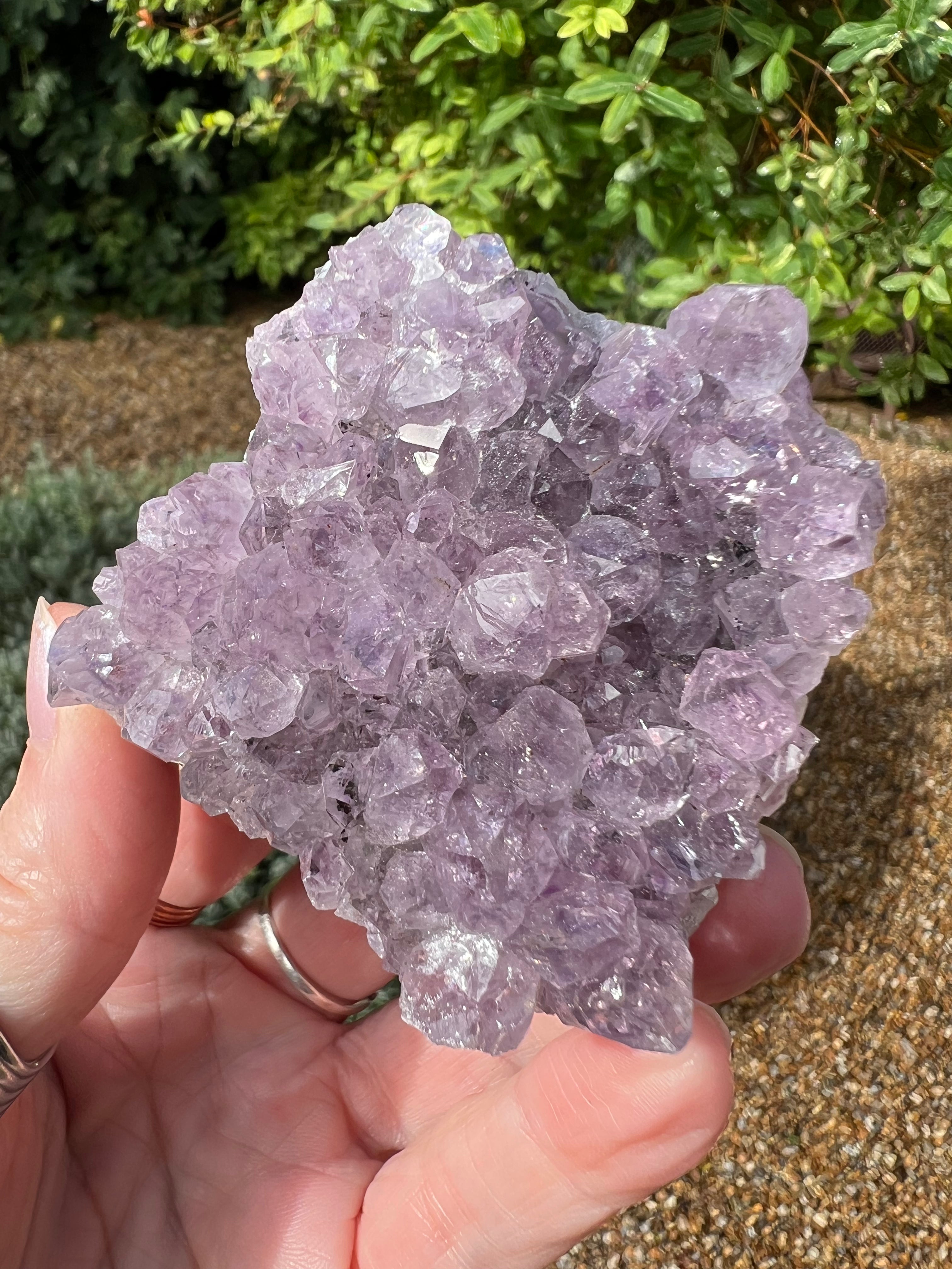 Amethyst Crystal Druze - AM24