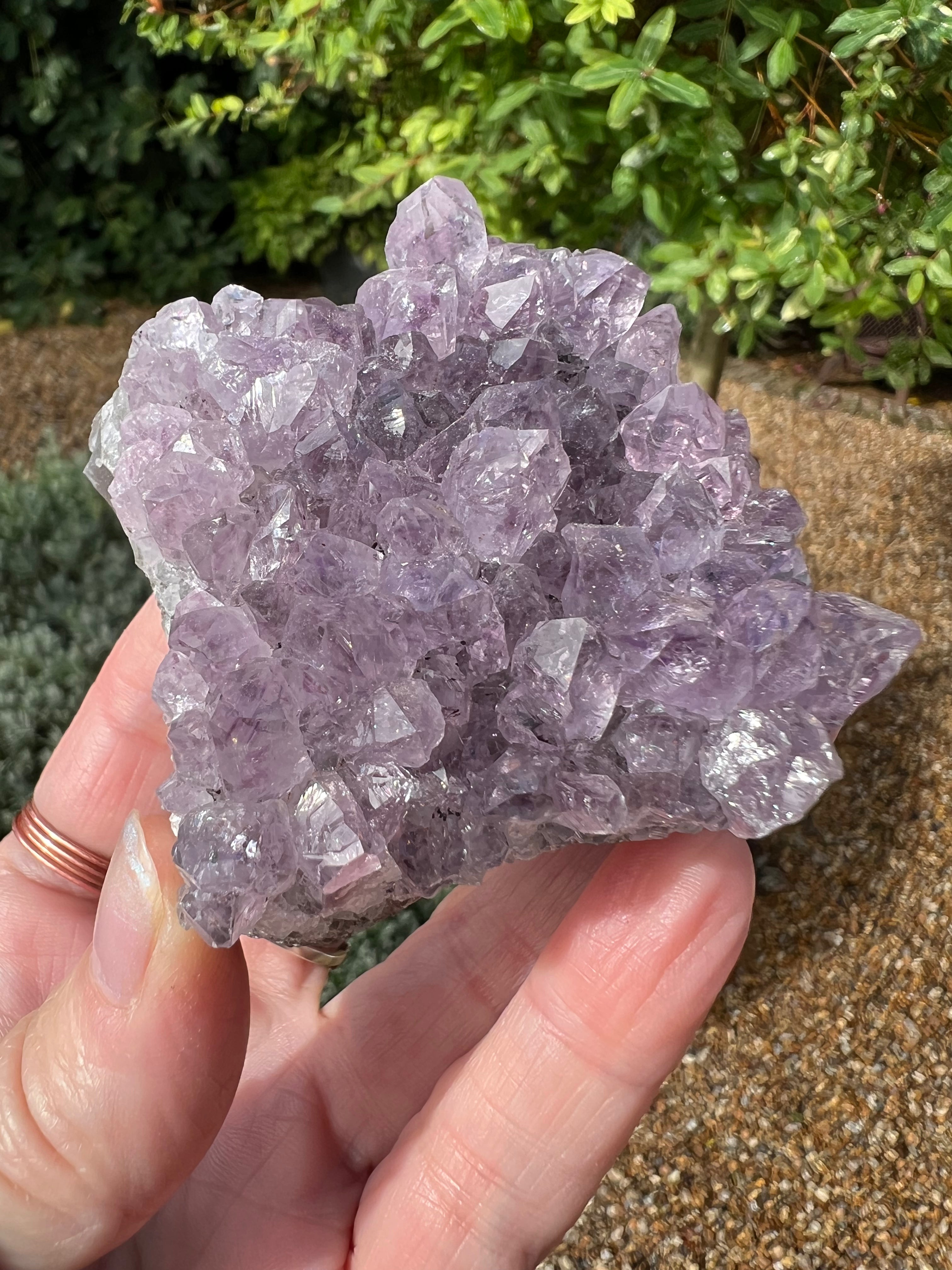 Amethyst Crystal Druze - AM24