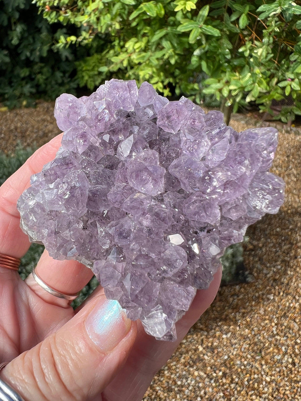 Amethyst Crystal Druze - AM24