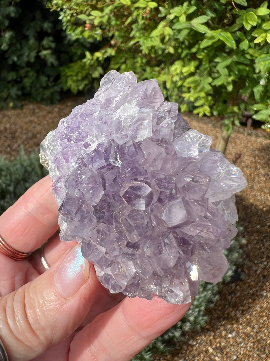 Amethyst Crystal Druze - AM25