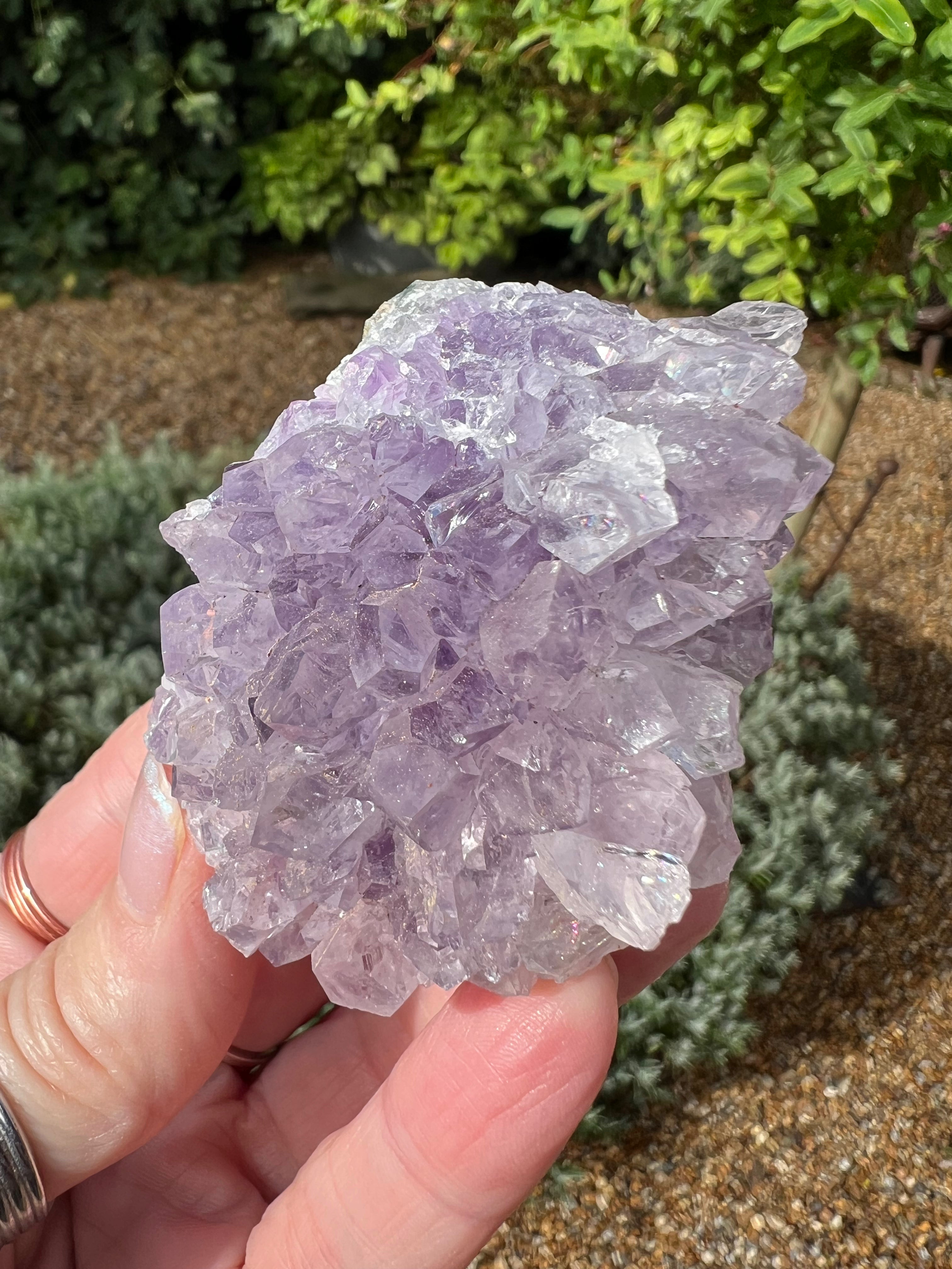Amethyst Crystal Druze - AM25