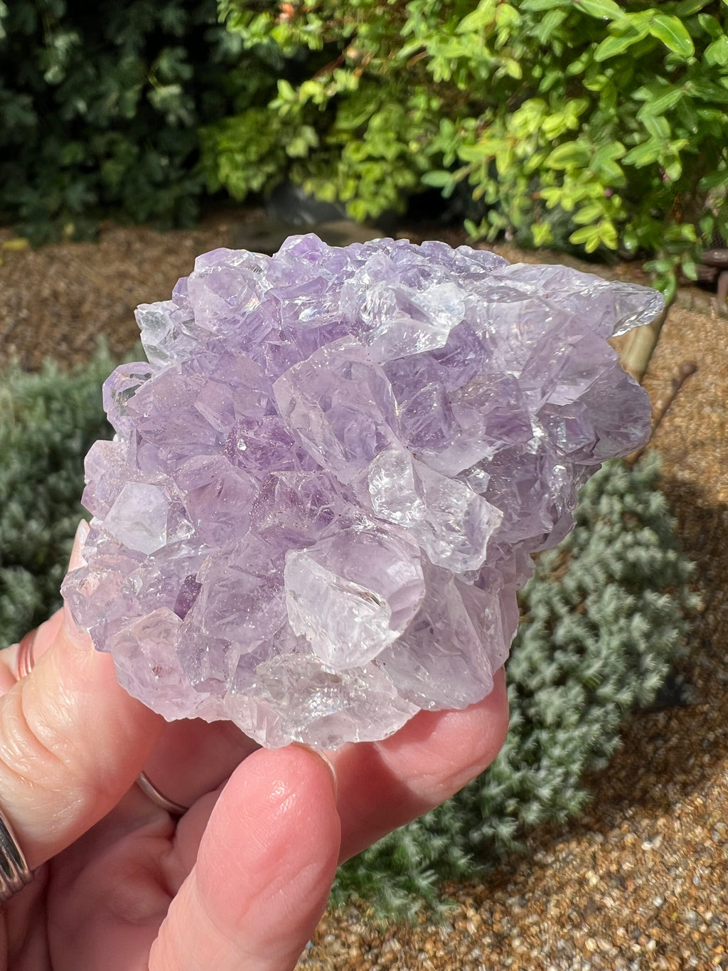 Amethyst Crystal Druze - AM25