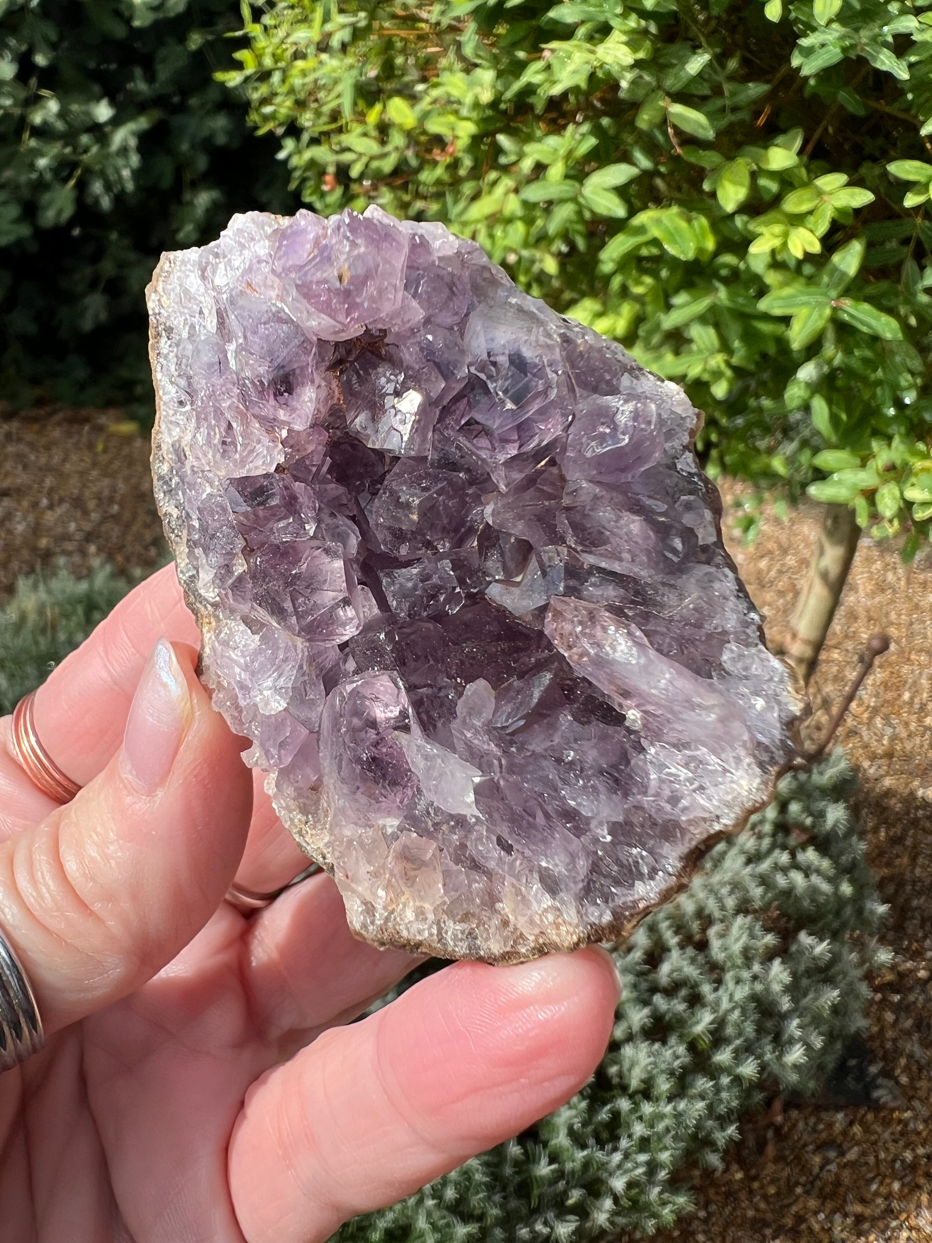 Amethyst Crystal Druze - AM26