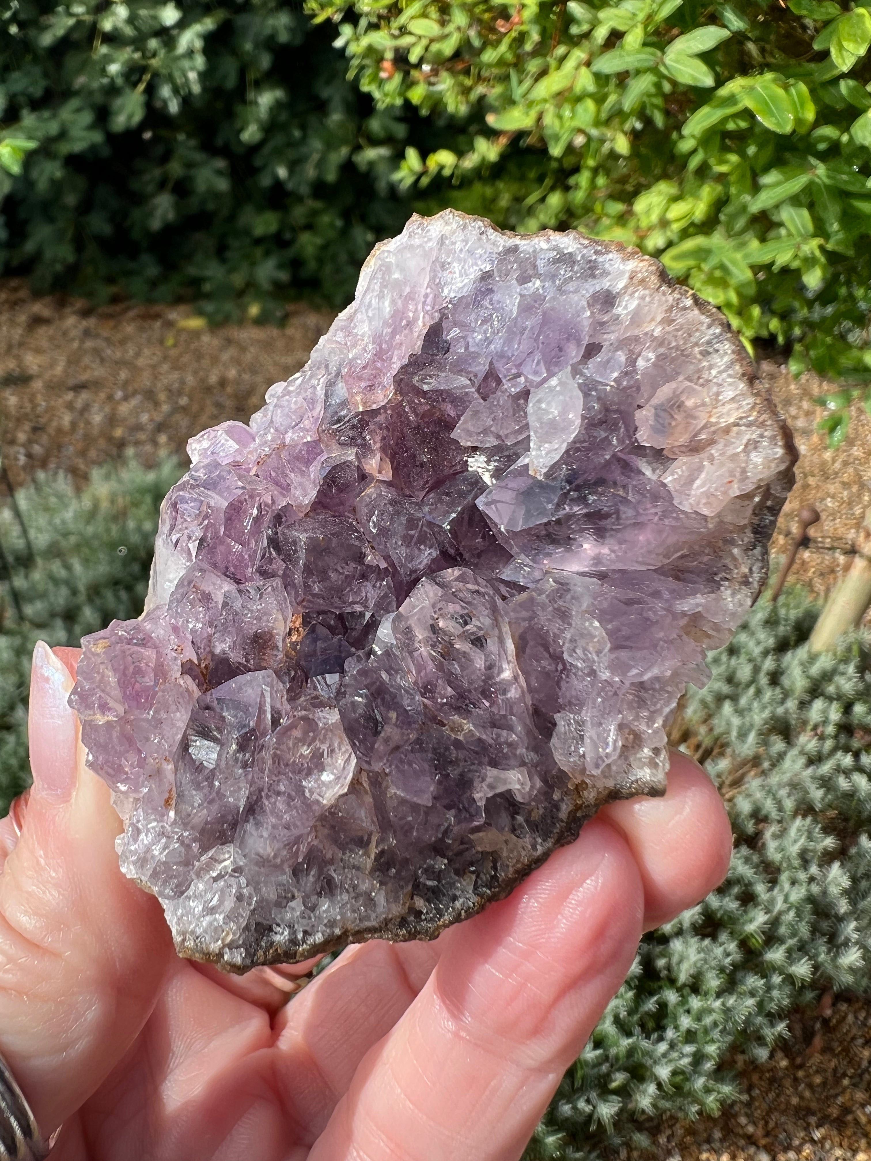 Amethyst Crystal Druze - AM26