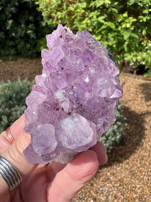 Amethyst Crystal Druze - AM27