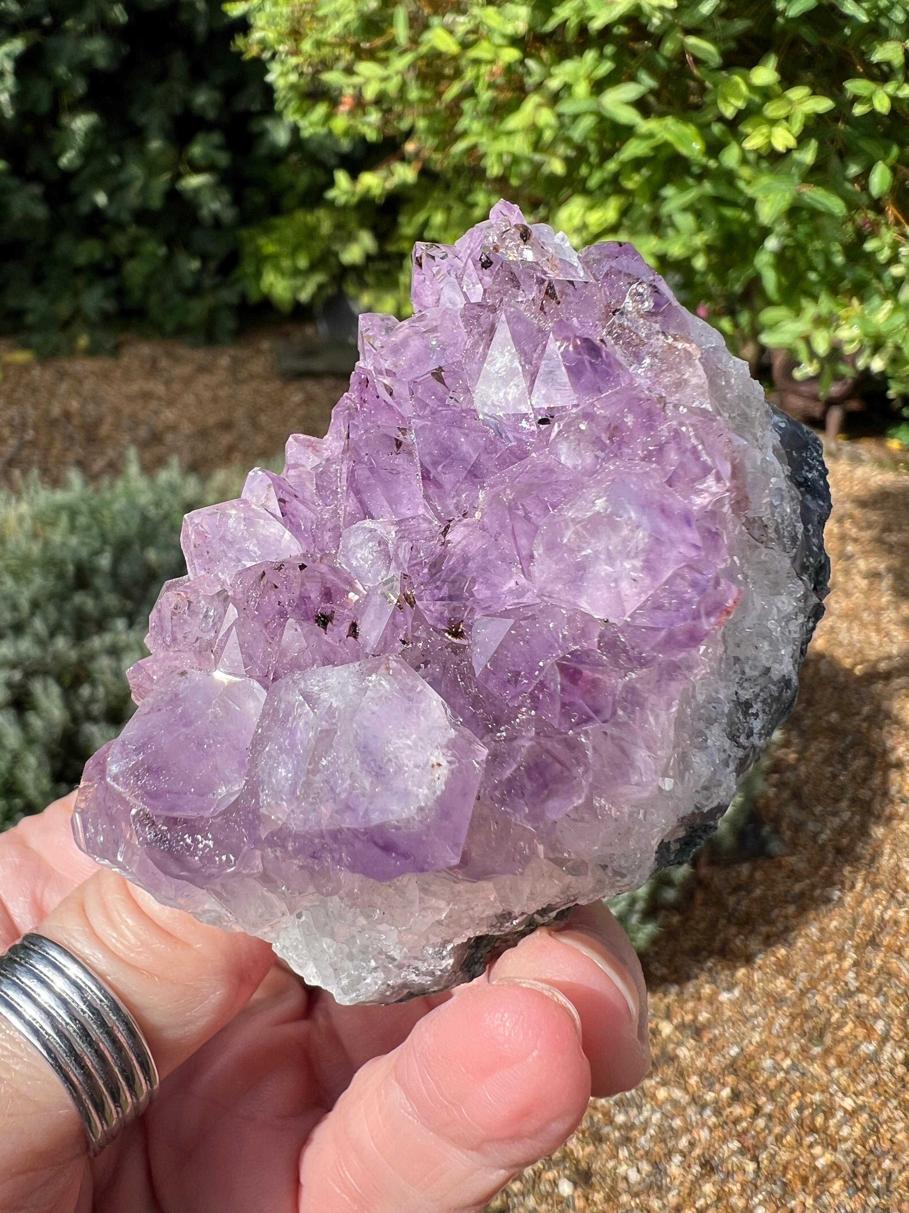 Amethyst Crystal Druze - AM27