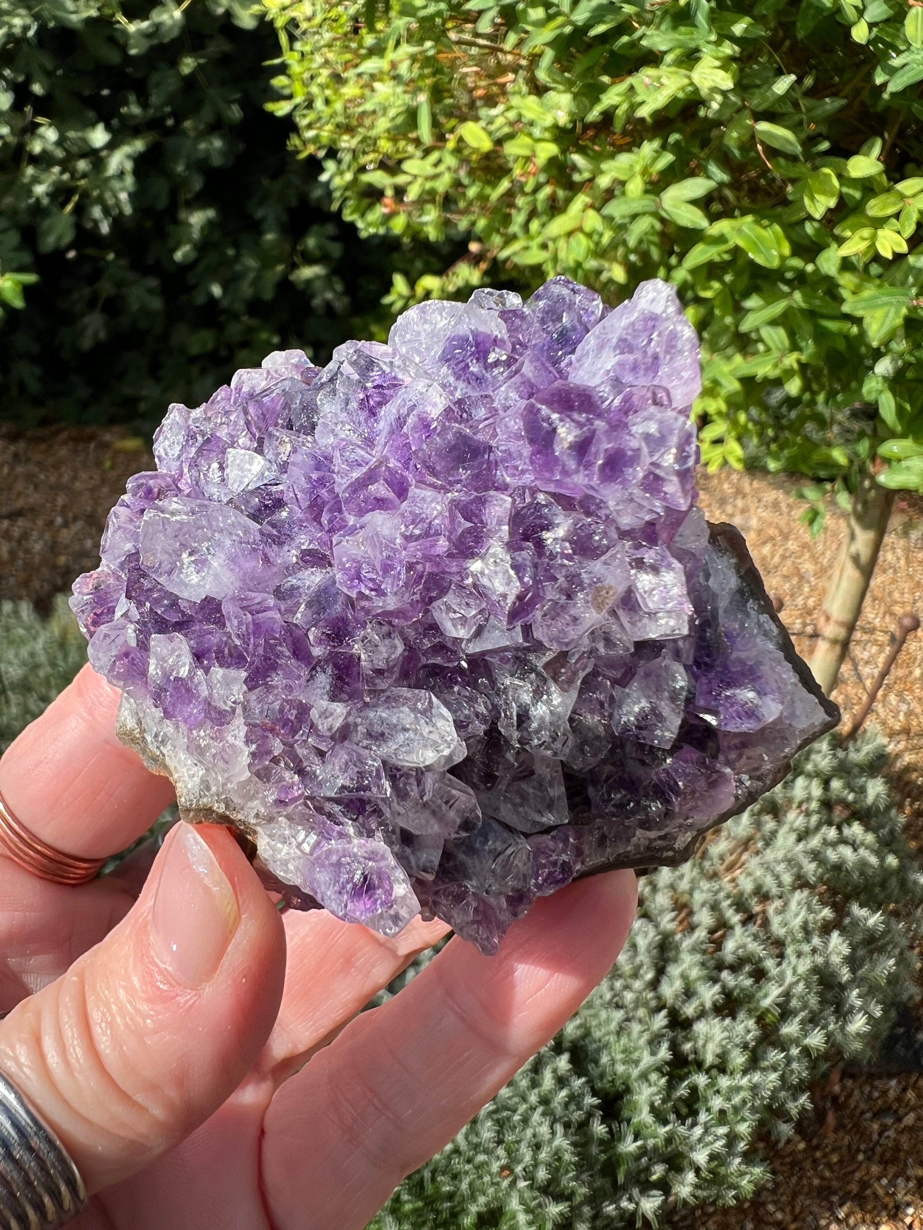 Amethyst Crystal Druze - AM28