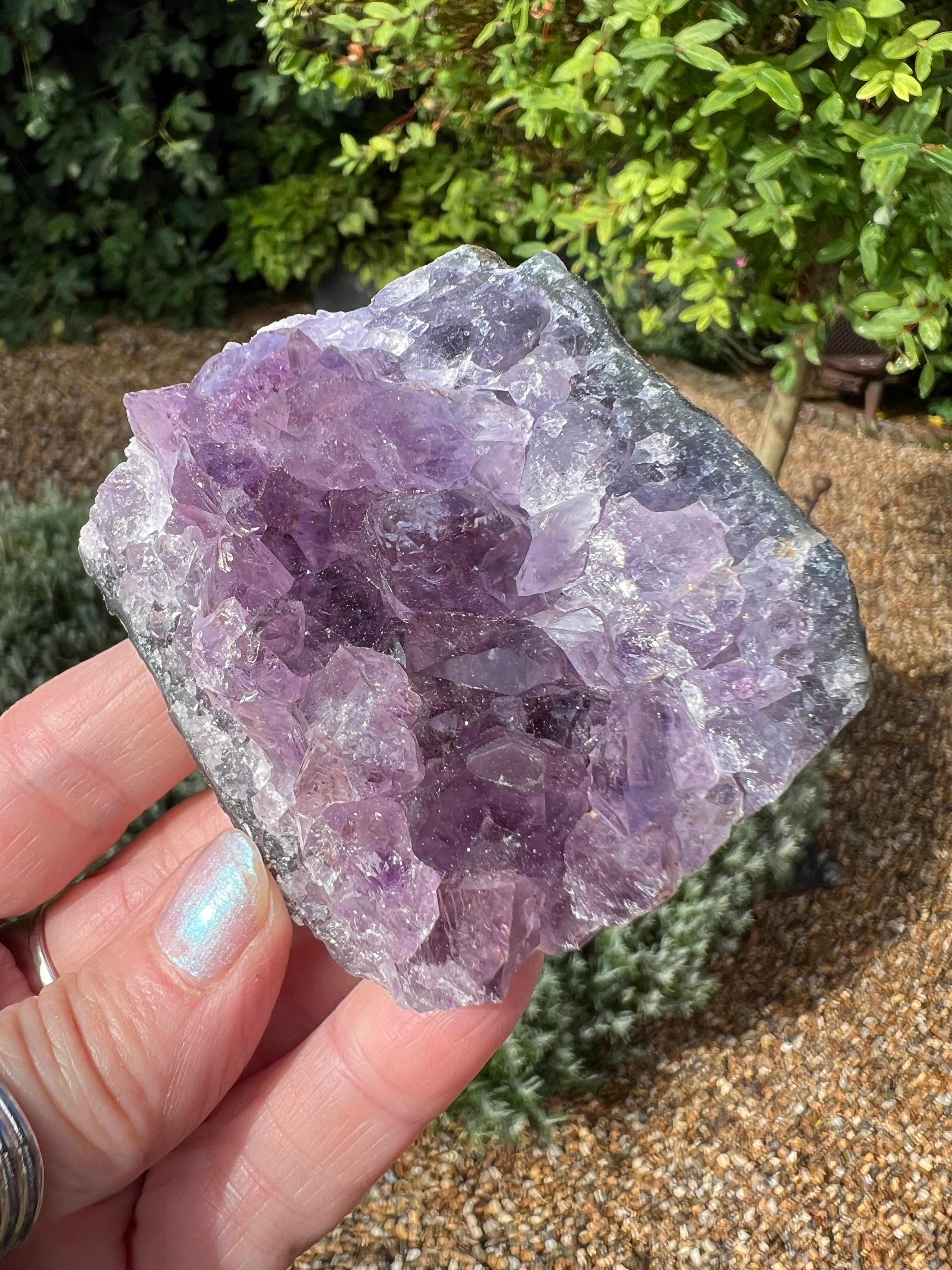 Amethyst Crystal Druze - AM29