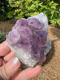 Amethyst Crystal Druze - AM31