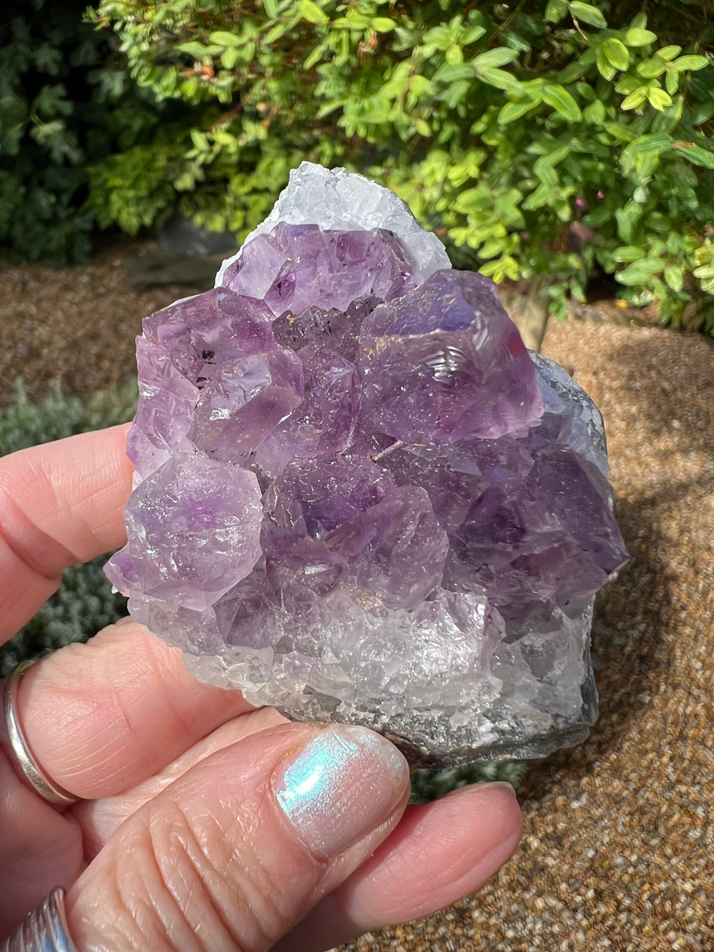 Amethyst Crystal Druze - AM31