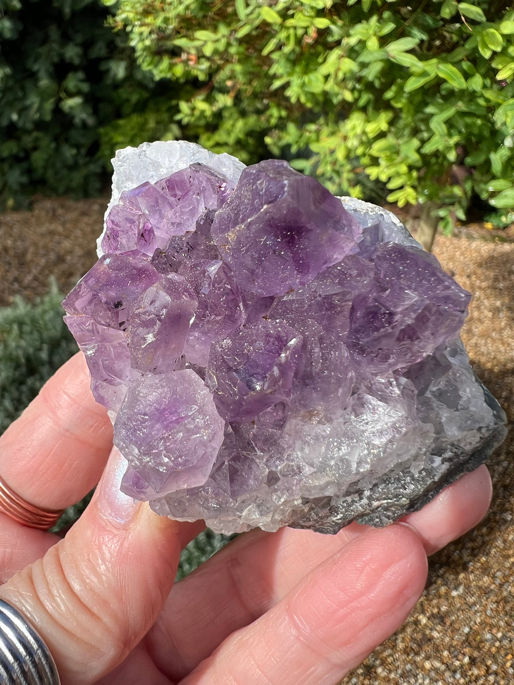 Amethyst Crystal Druze - AM31
