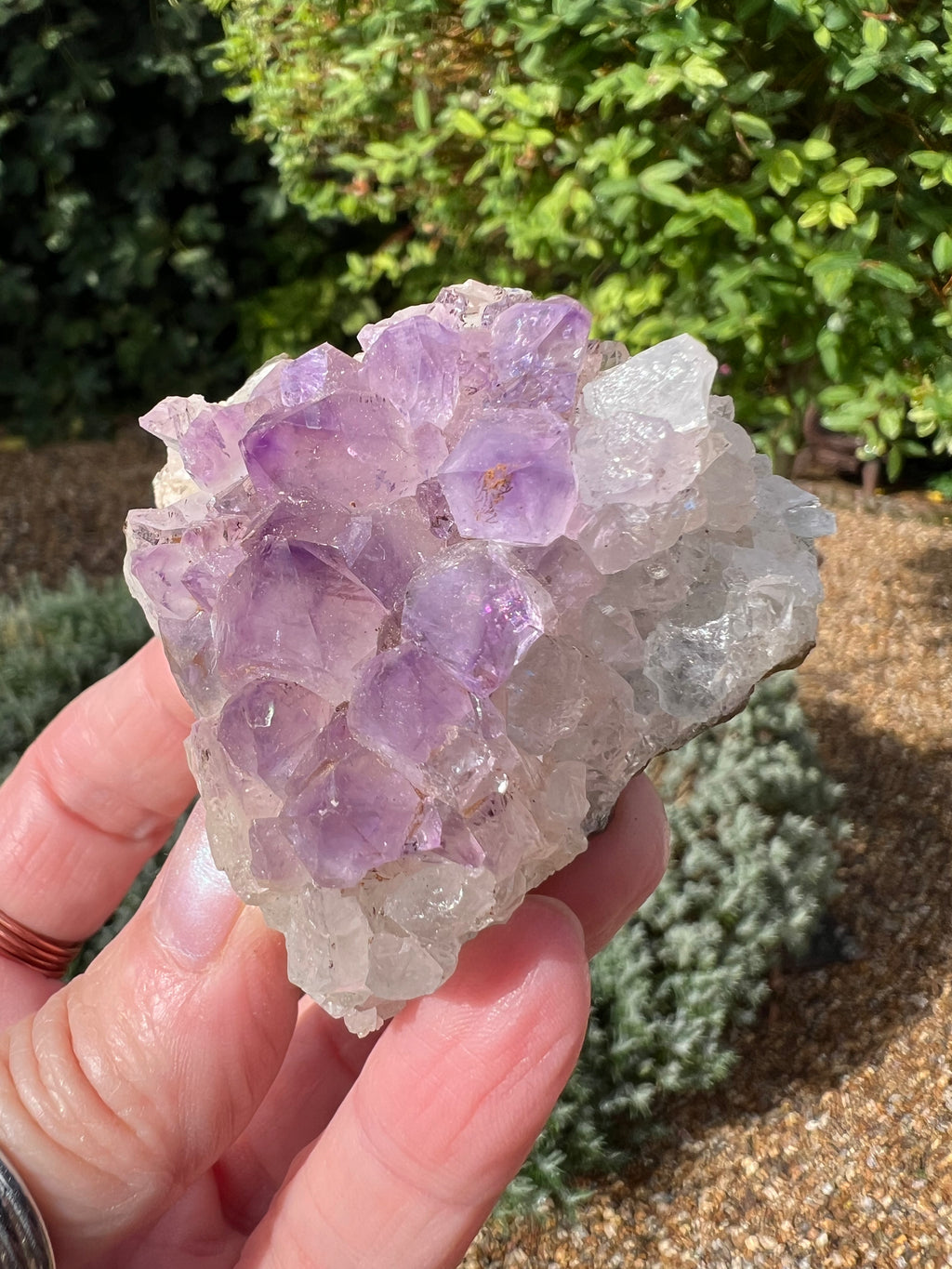 Amethyst Crystal Druze - AM34