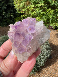 Amethyst Crystal Druze - AM34