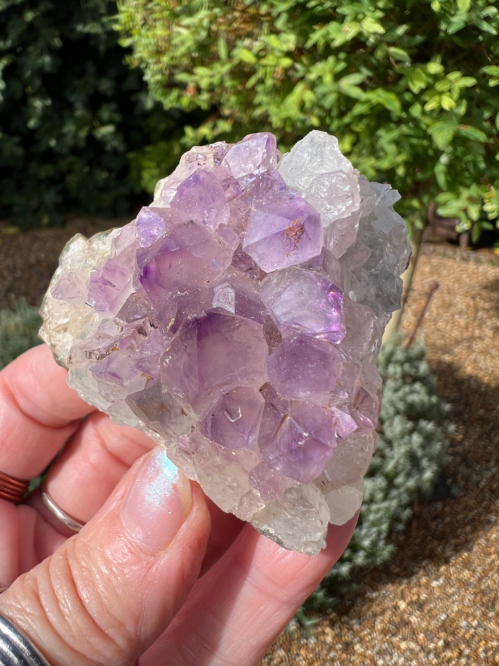 Amethyst Crystal Druze - AM34