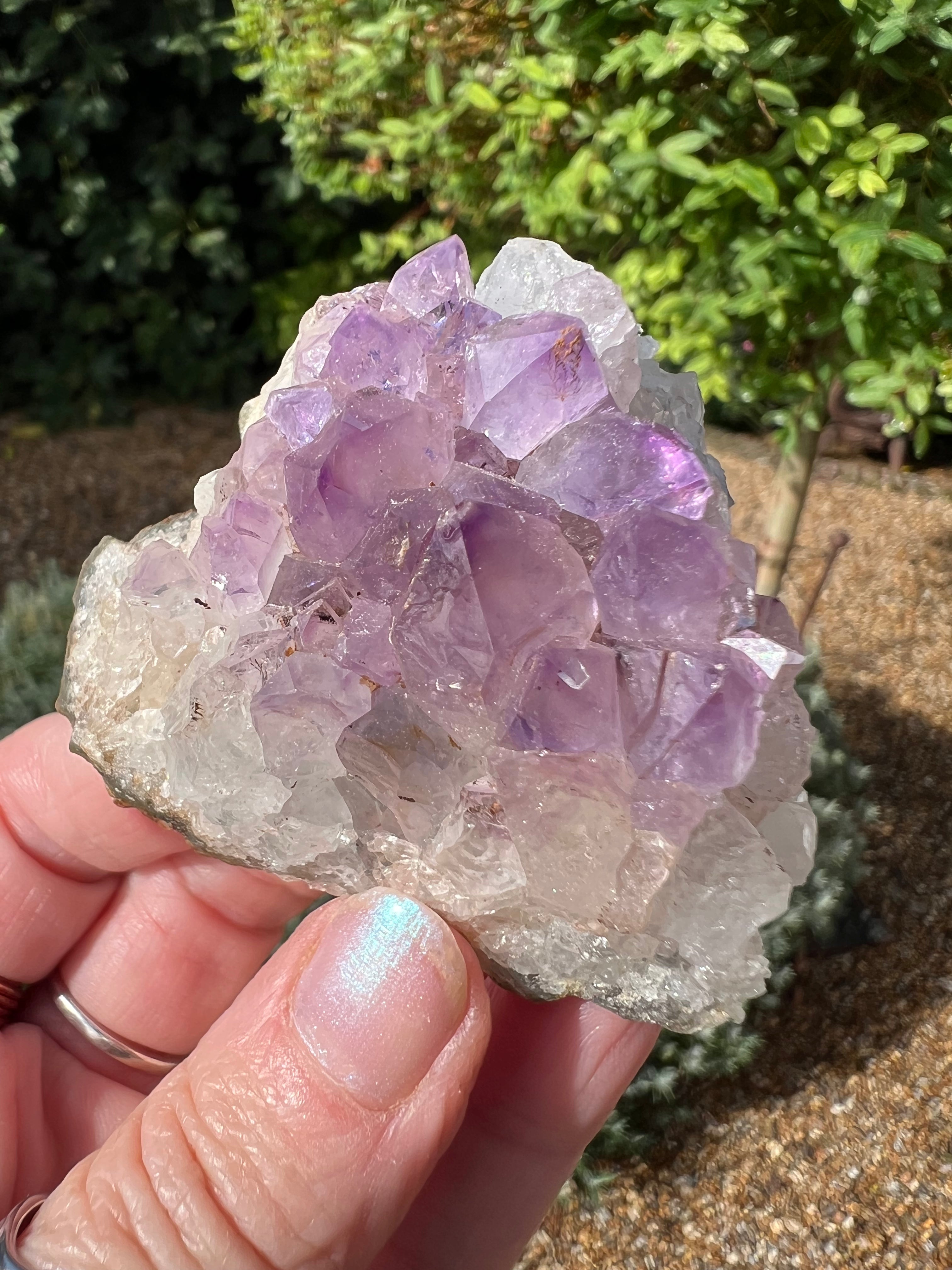 Amethyst Crystal Druze - AM34