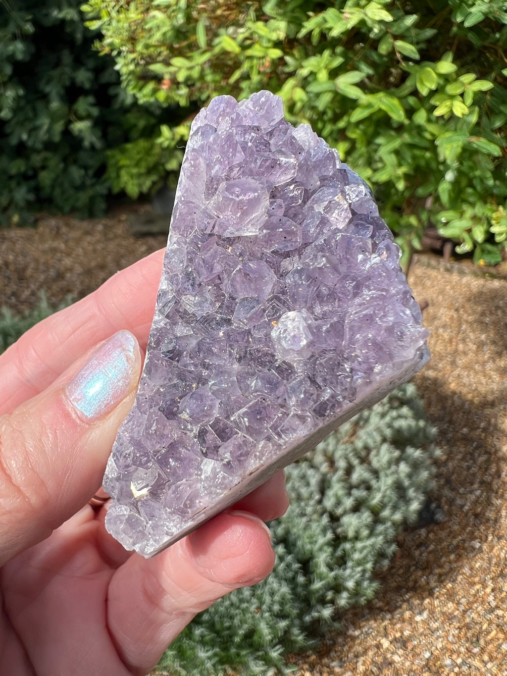 Amethyst Crystal Druze - AM35