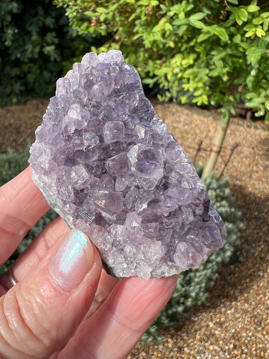 Amethyst Crystal Druze - AM35