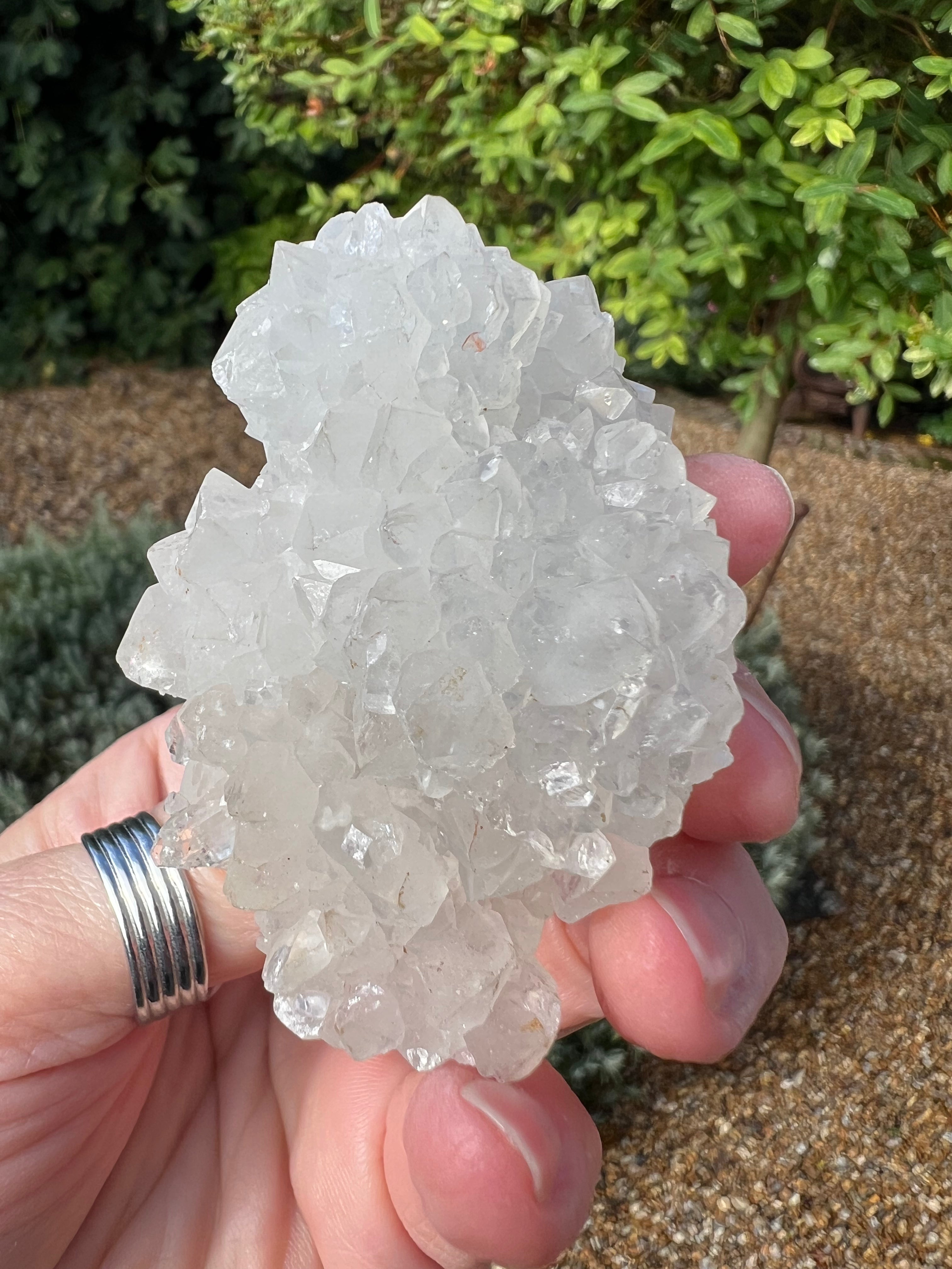 Apophyllite Specimen - AY4