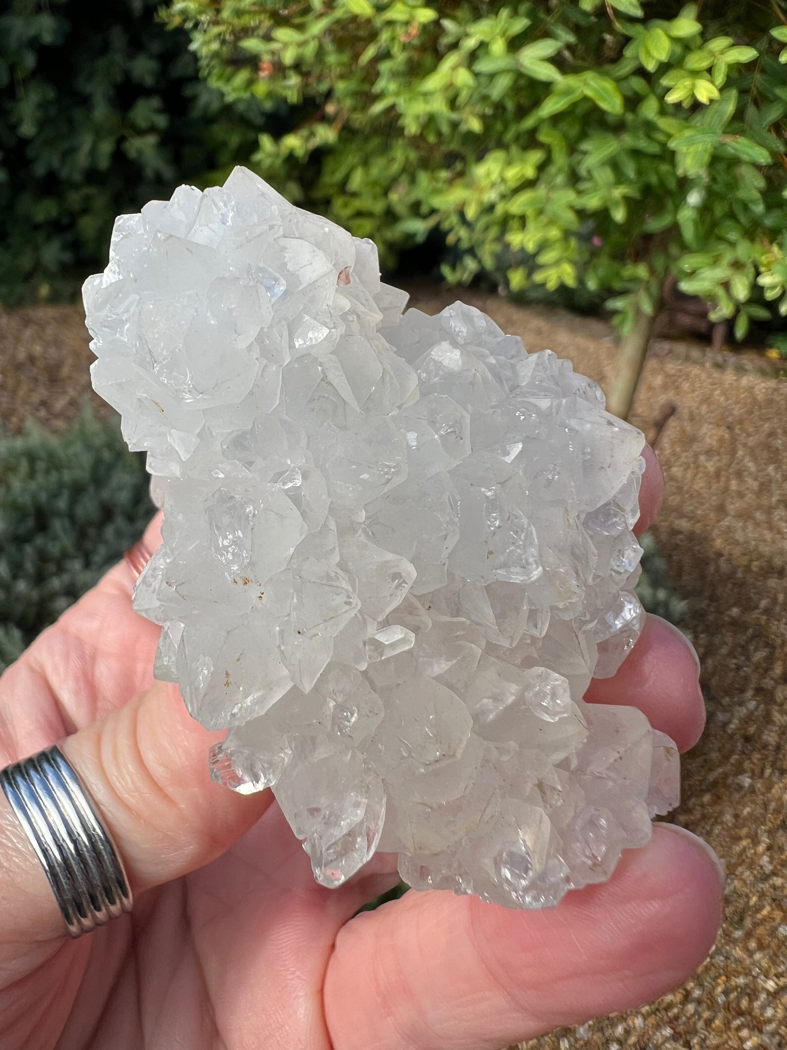 Apophyllite Specimen - AY4