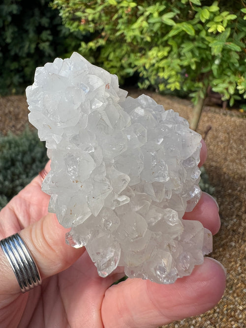 Apophyllite Specimen - AY4