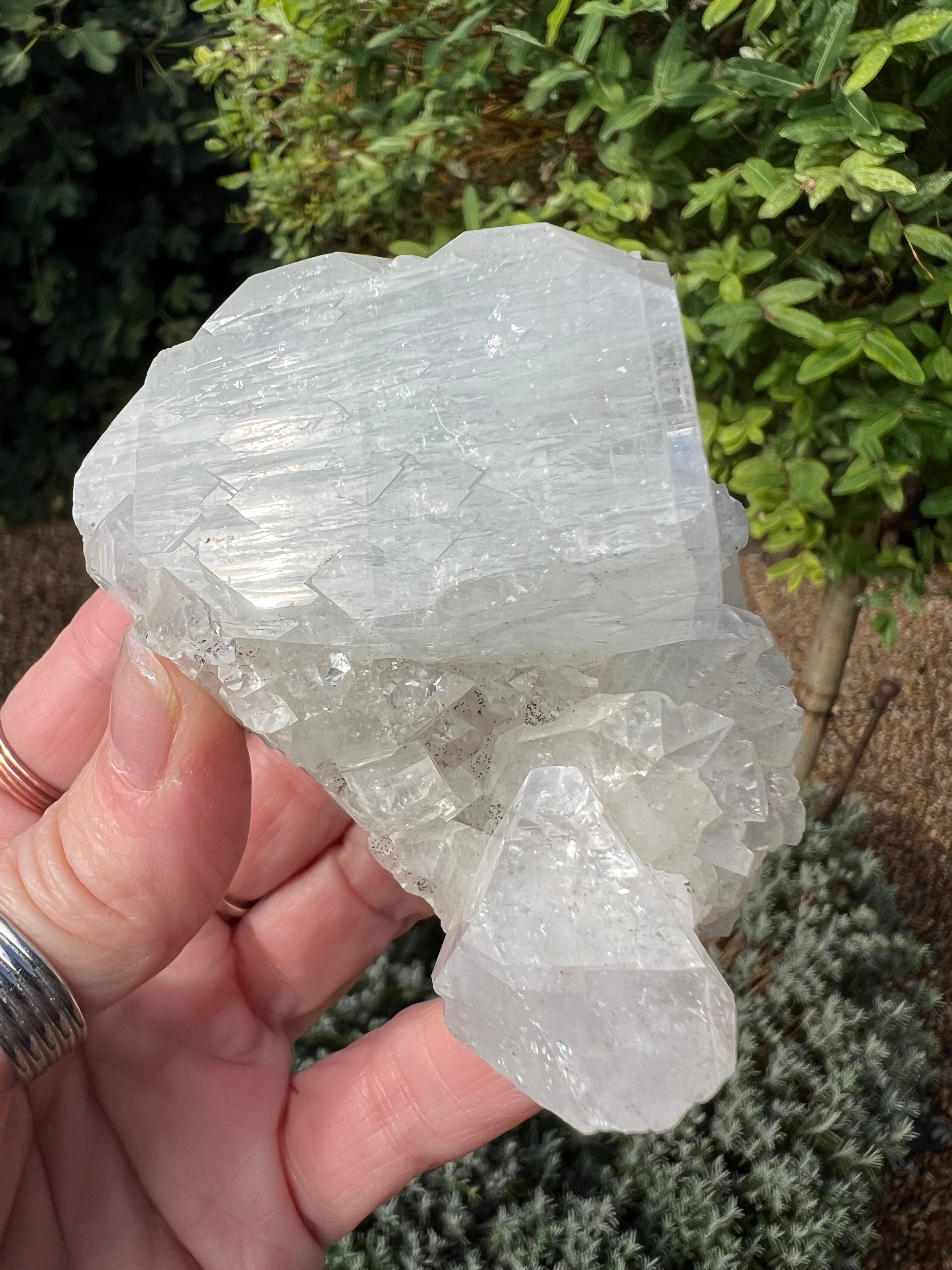 Apophyllite Specimen - AY5