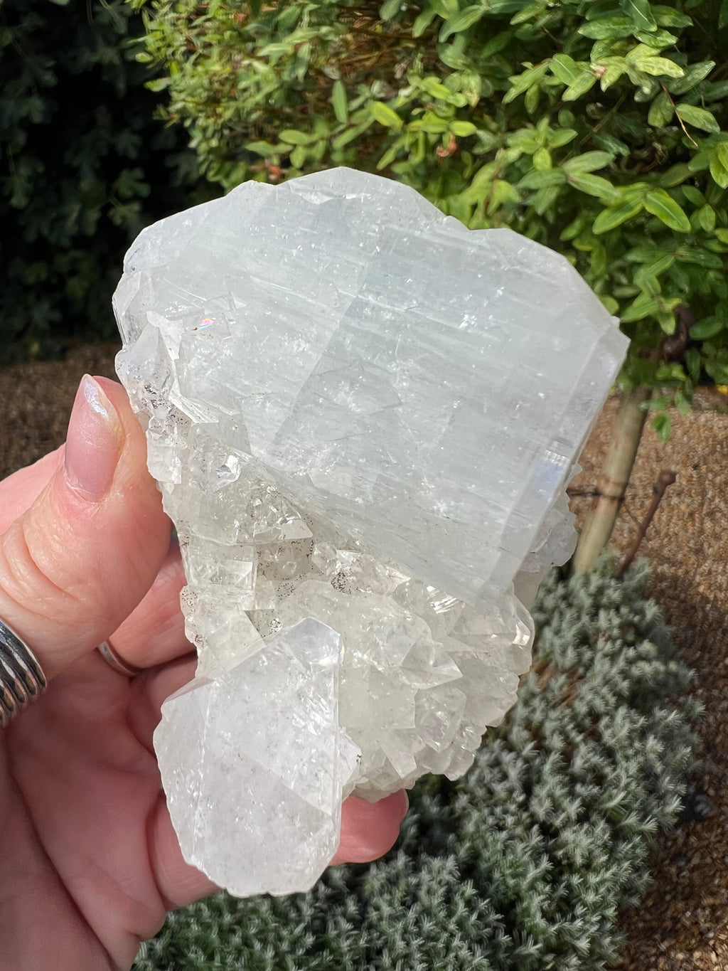 Apophyllite Specimen - AY5