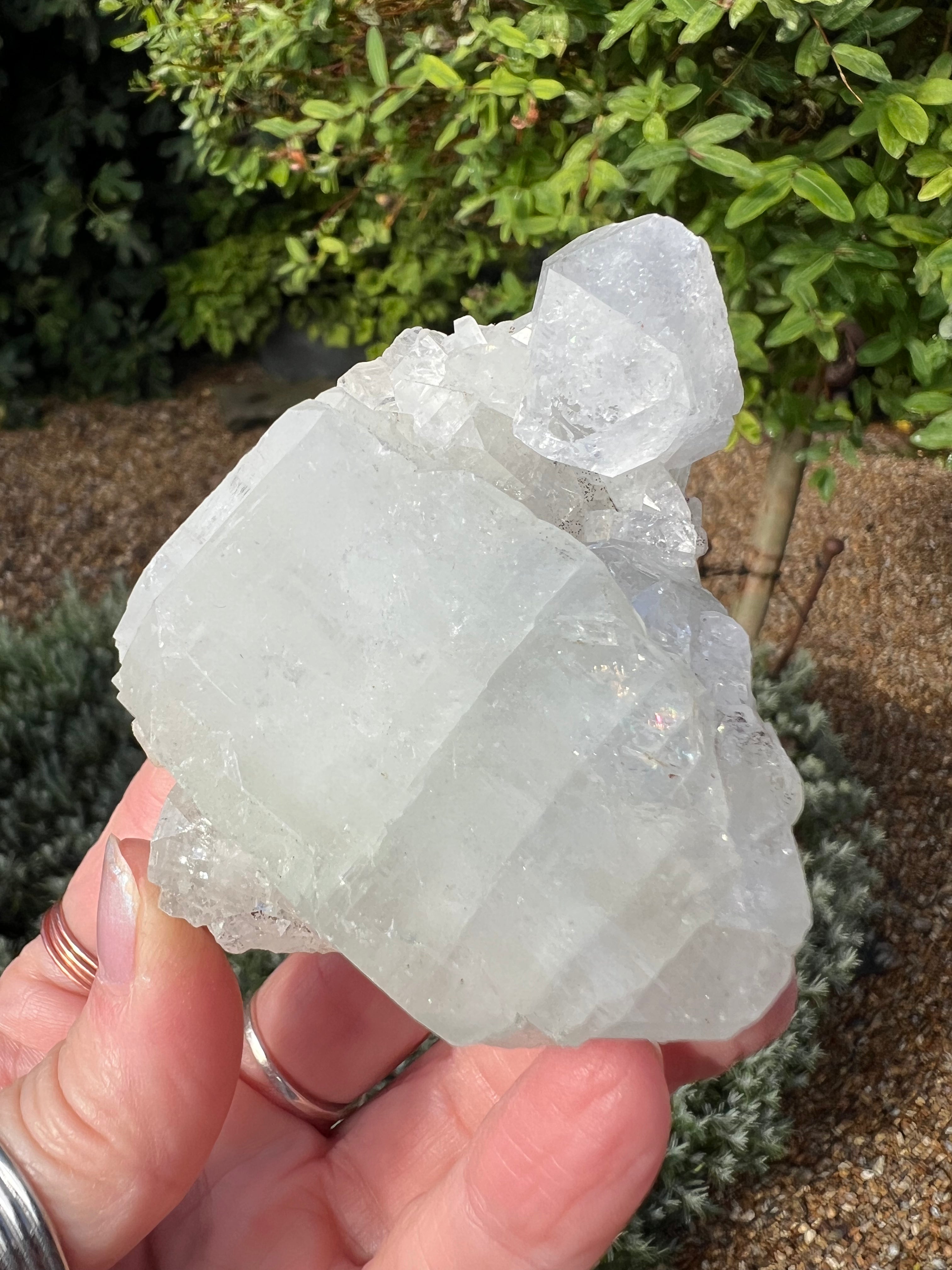Apophyllite Specimen - AY5