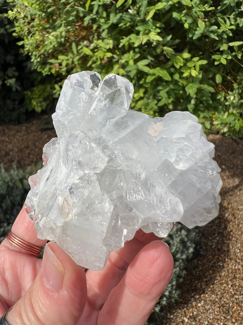 Apophyllite Specimen - AY7