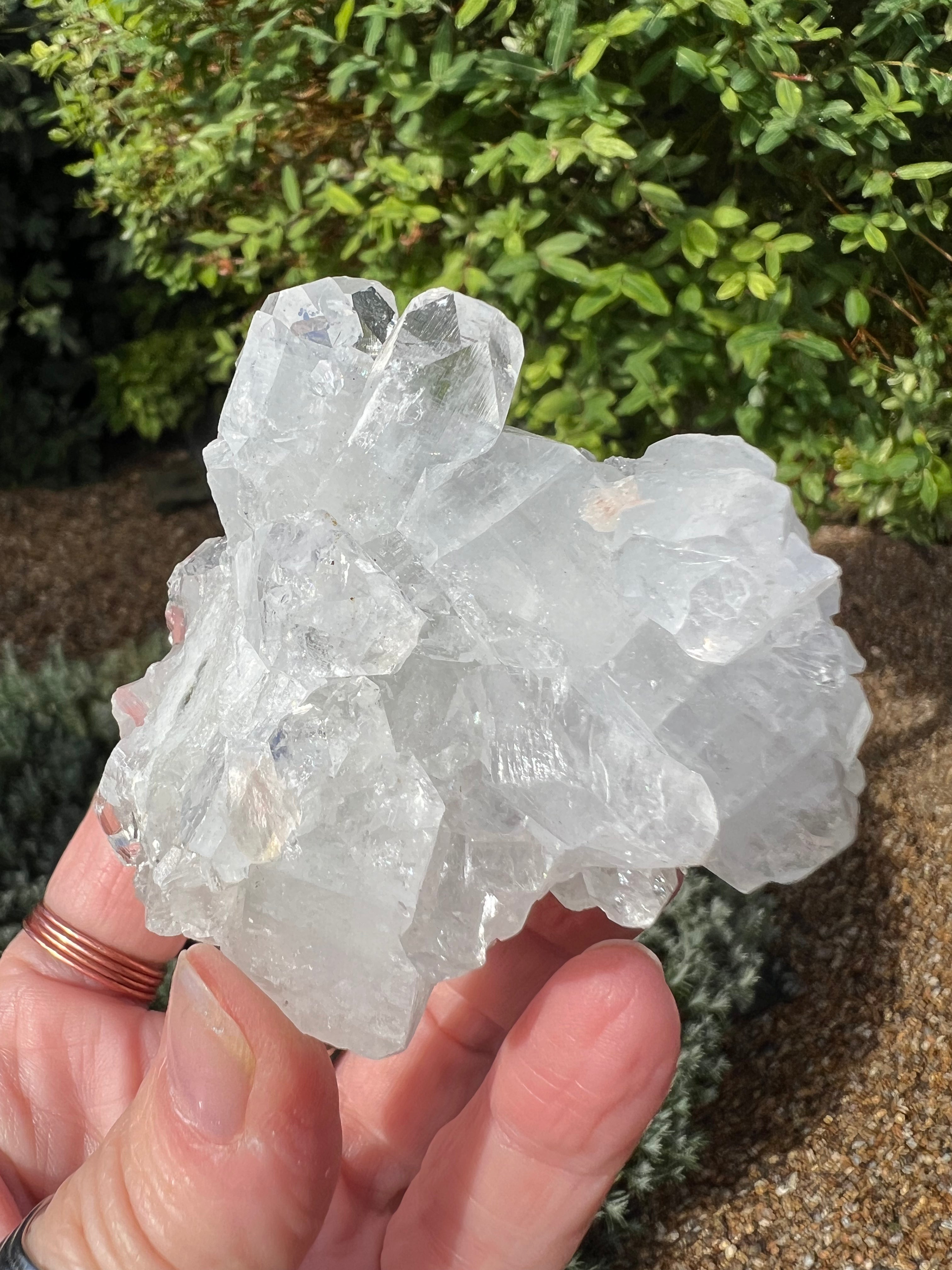 Apophyllite Specimen - AY7